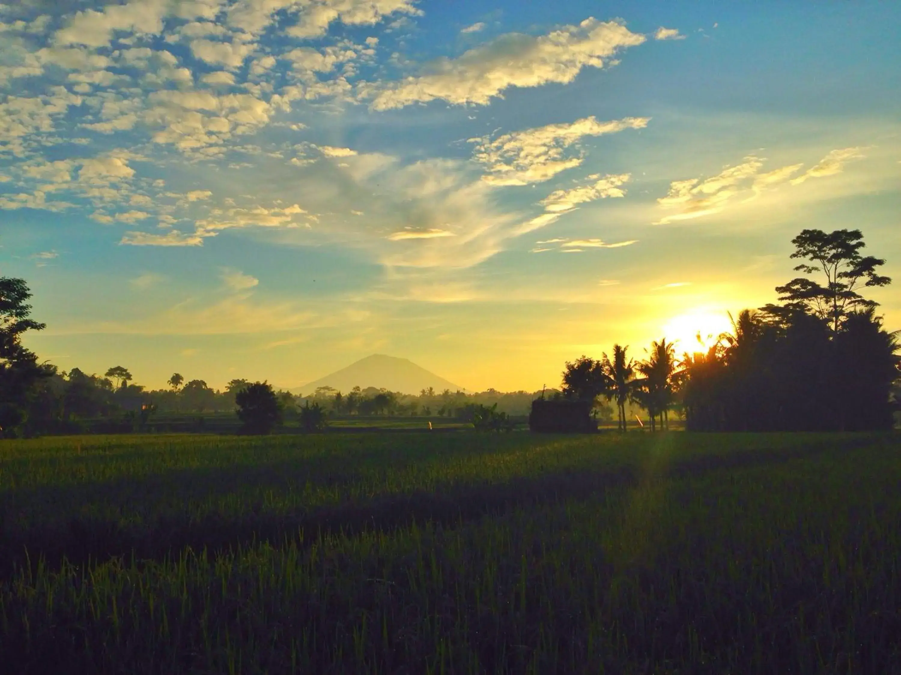View (from property/room), Sunrise/Sunset in Temuku Villas Ubud - CHSE Certified