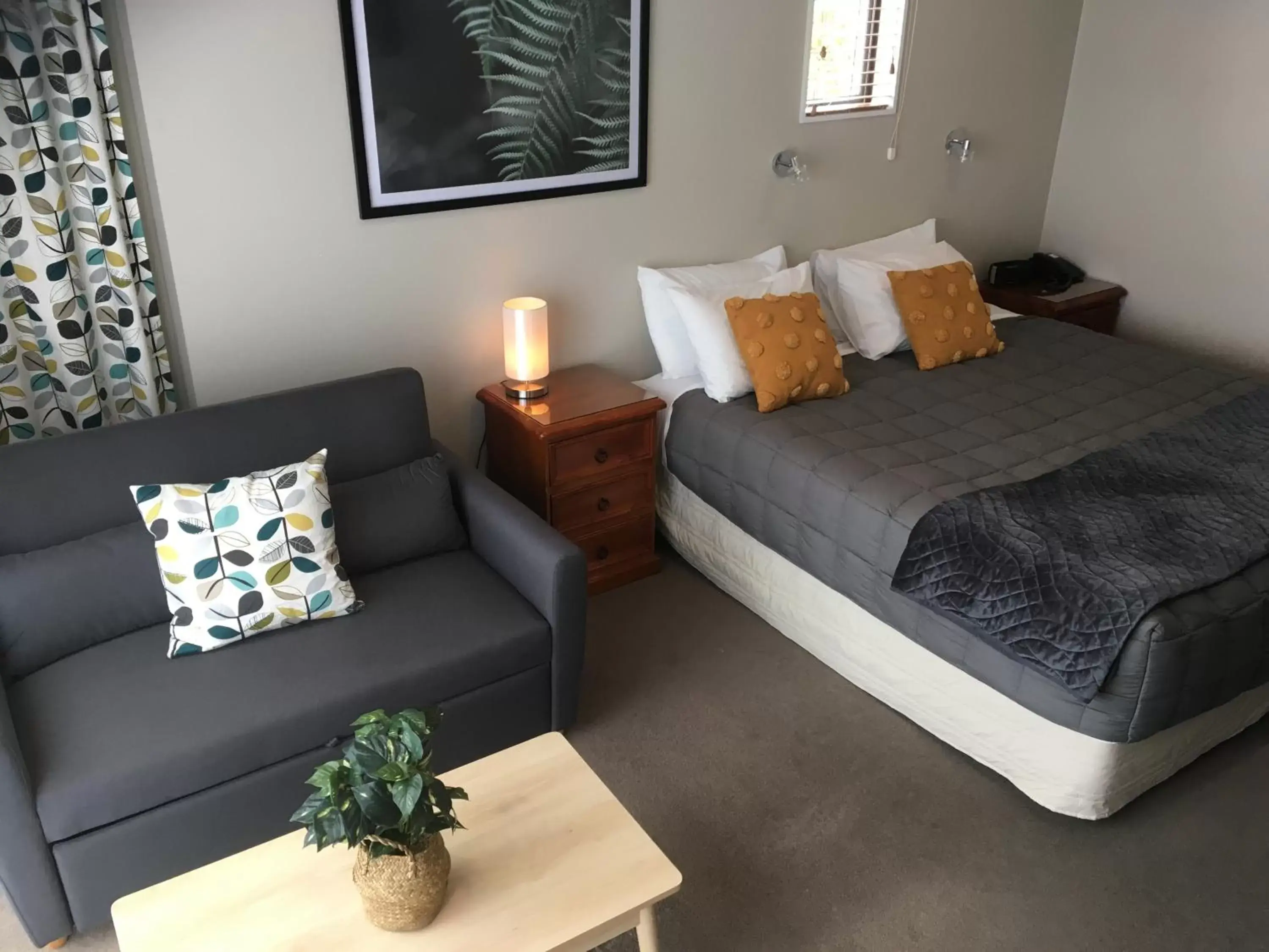 Superior Studio in Kauri Motel on Riccarton Superior Studio in Kauri Motel on Riccarton