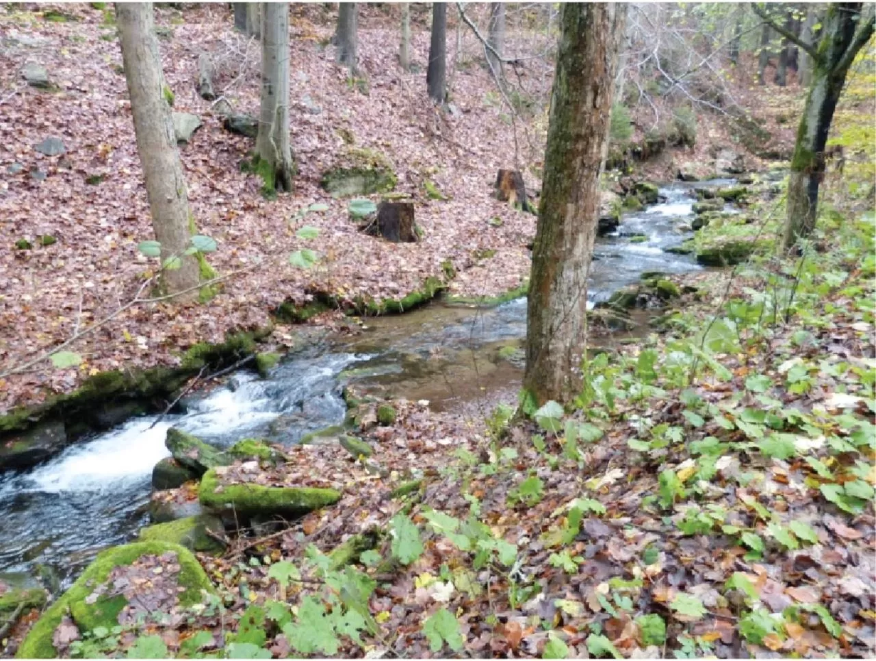 Nearby landmark, Other Animals in X-Park Františkov