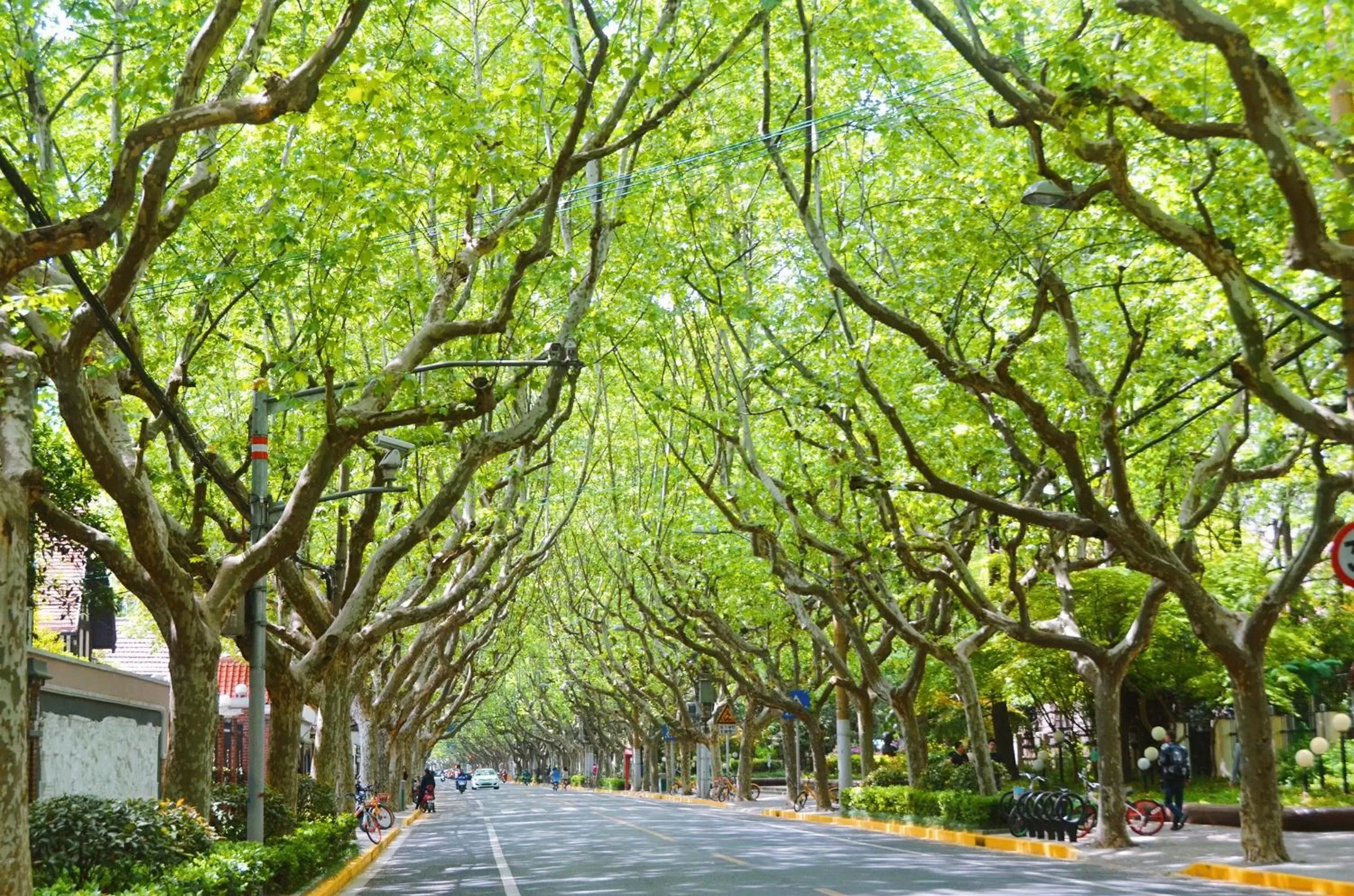 Other in Crowne Plaza Shanghai by IHG