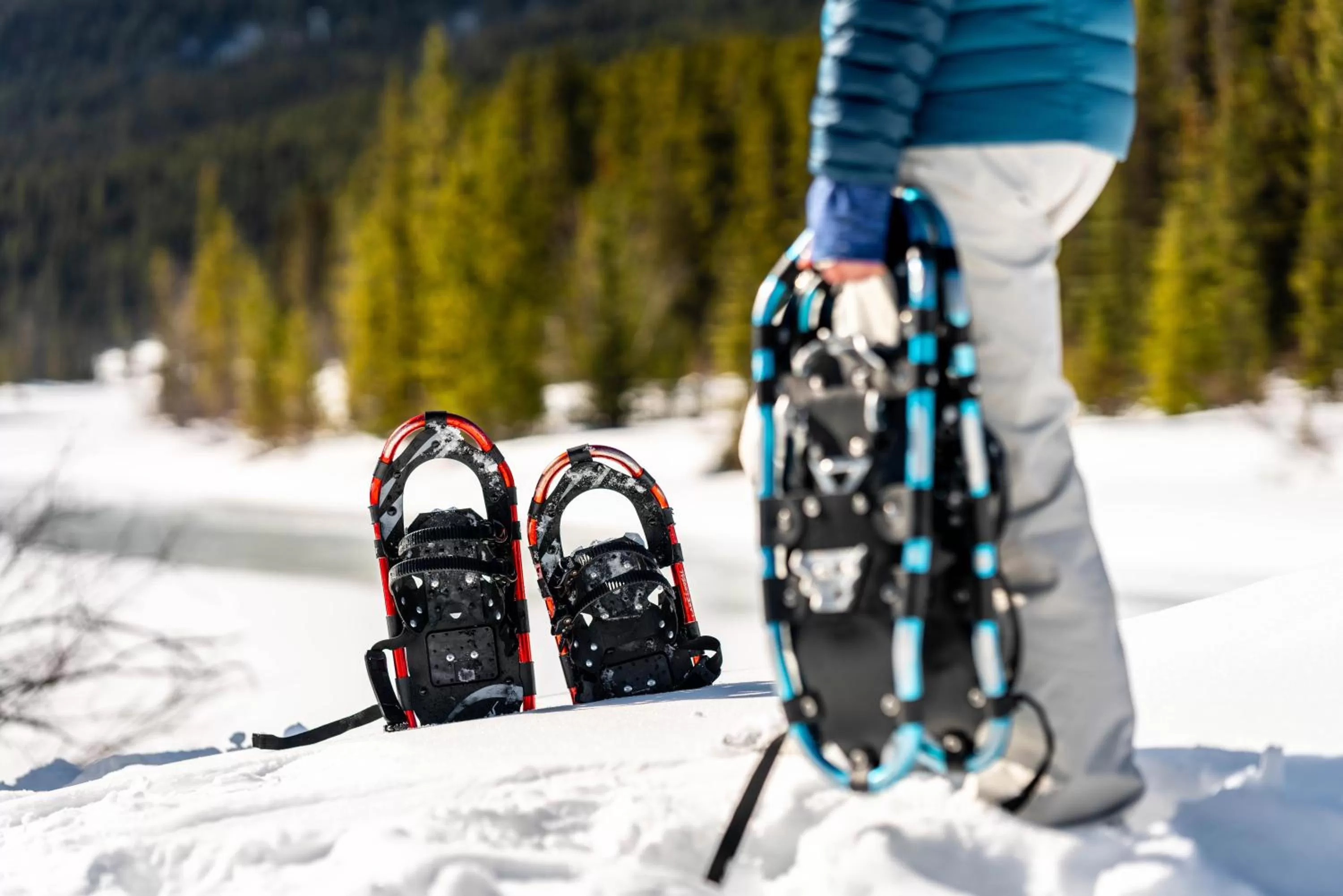 Area and facilities in Lake Louise Inn