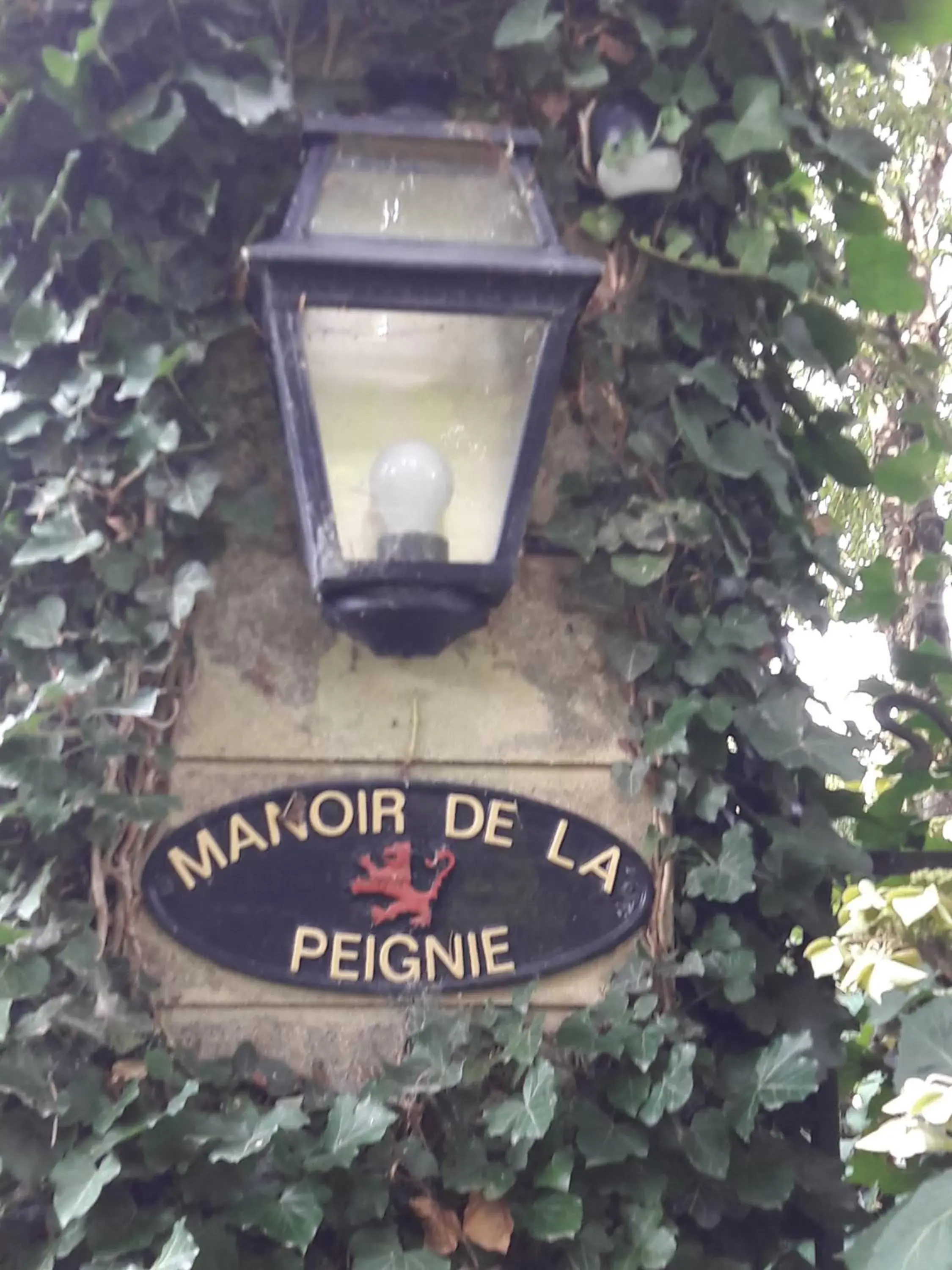Decorative detail, Property Logo/Sign in Manoir de la Peignie