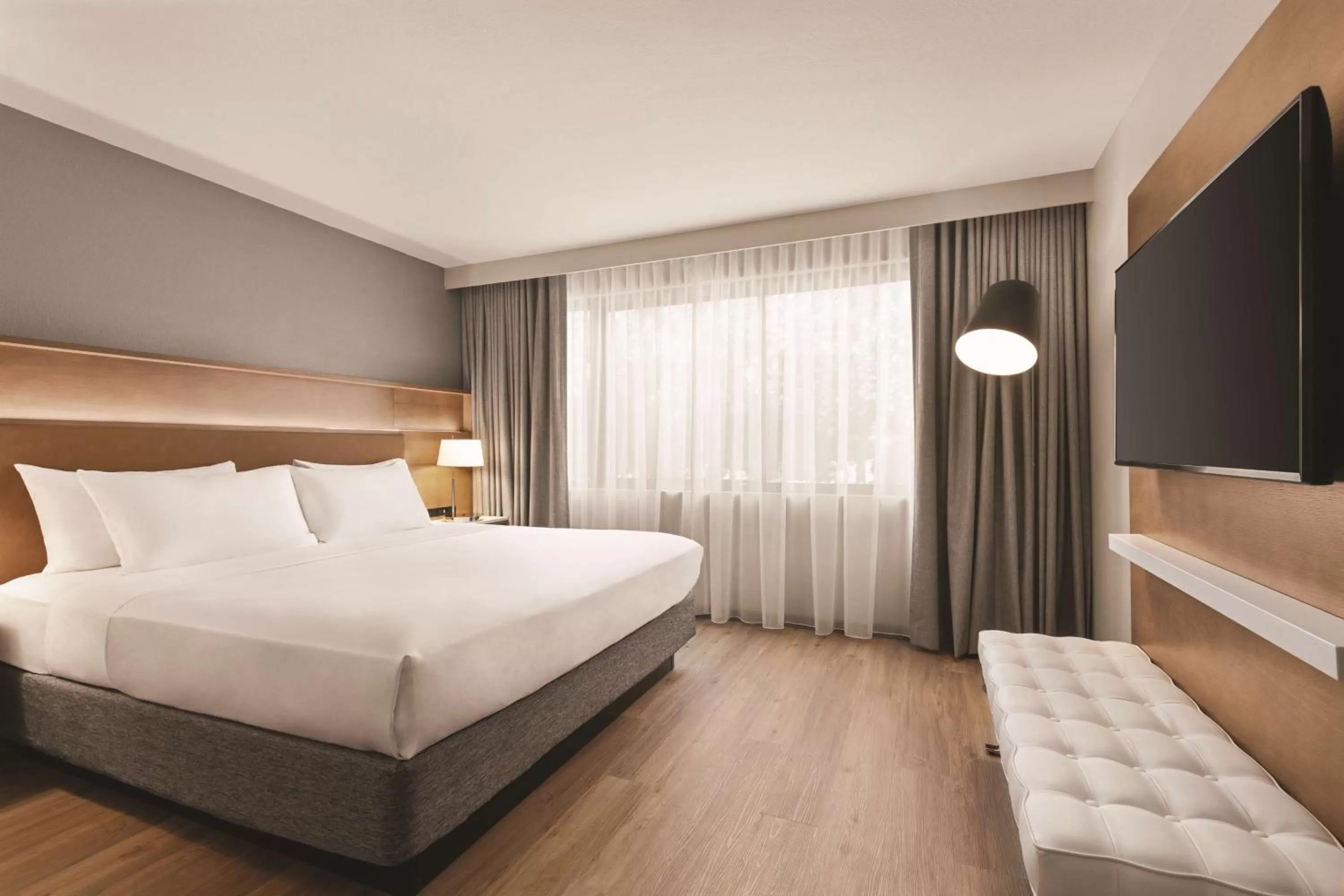 One-Bedroom King Suite with Sofa Bed - Non-Smoking in Radisson Hotel Sunnyvale - Silicon Valley