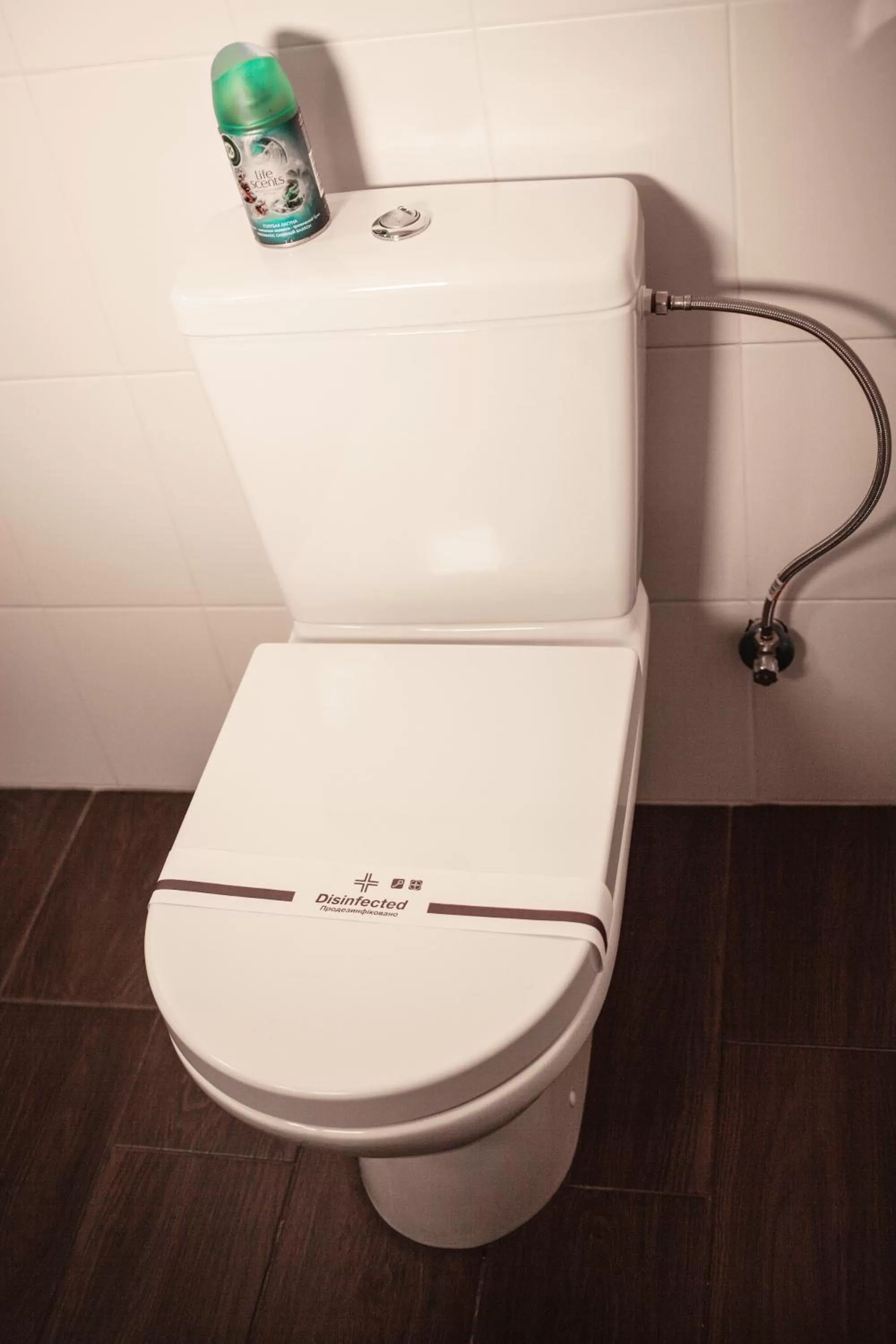 Toilet in Sicheslav Ekaterinoslav