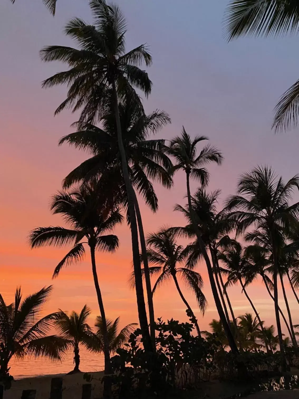 Beach, Sunrise/Sunset in Hotel La Tortuga