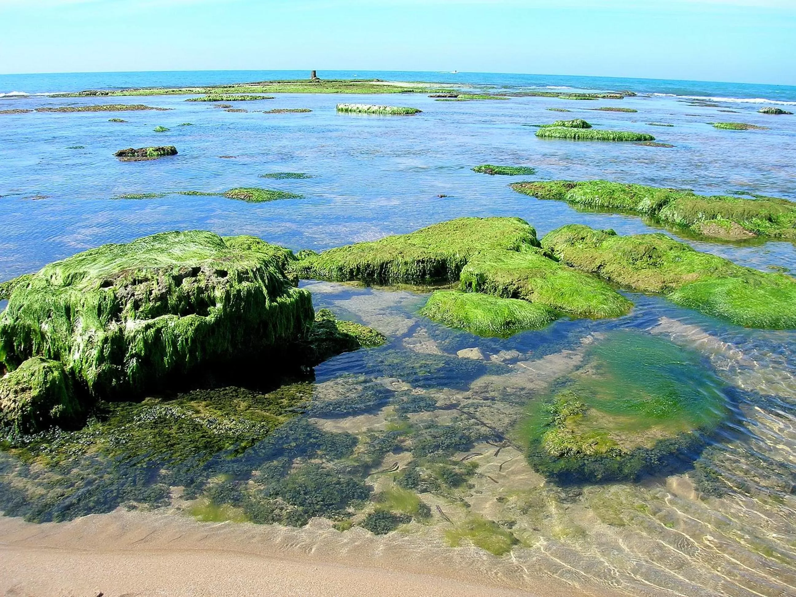 Spring in Casa Vacanze Sogno Siciliano