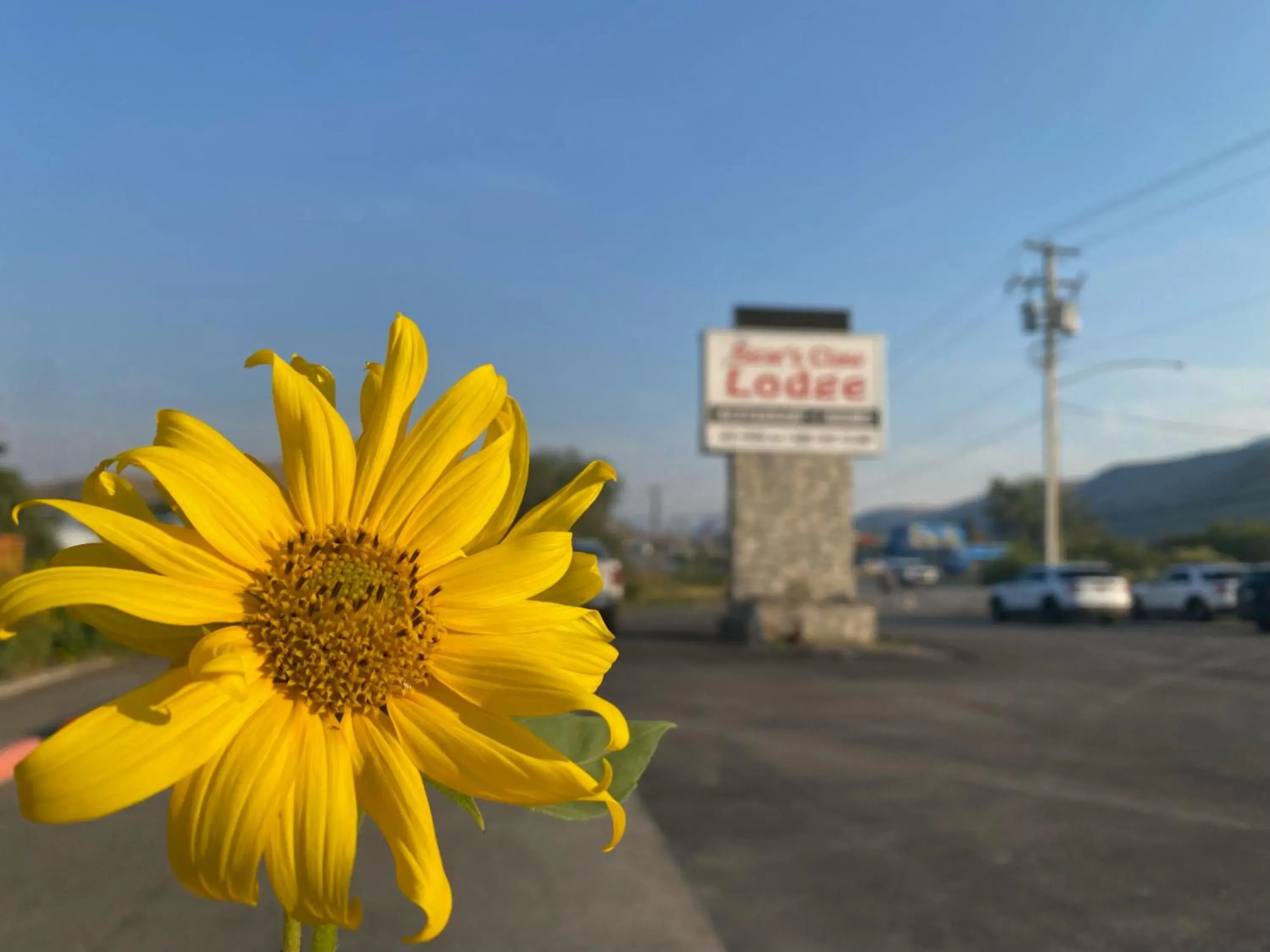 Street view in Bear's Claw Lodge