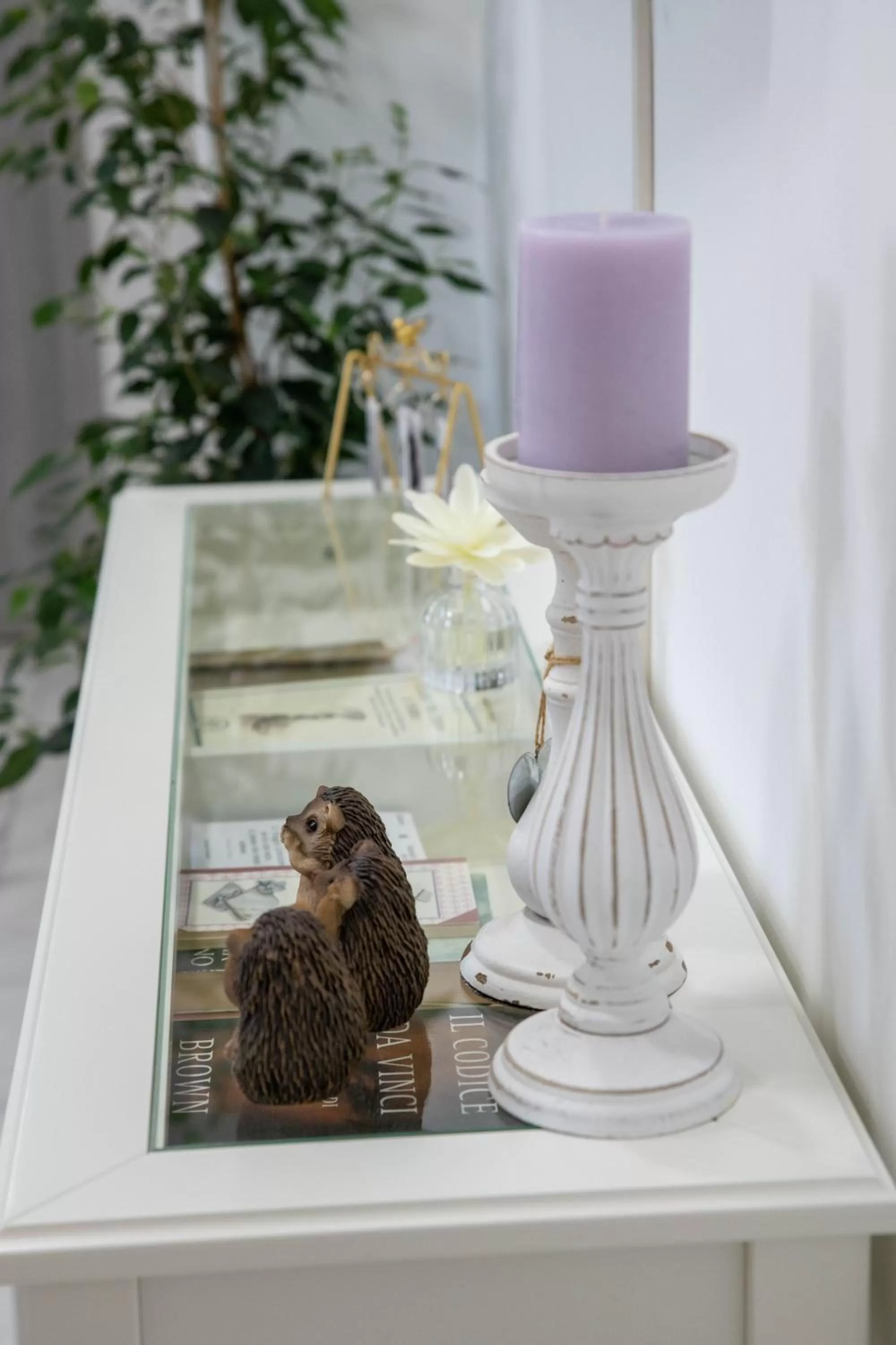 Other Animals in B&B Carpe Diem