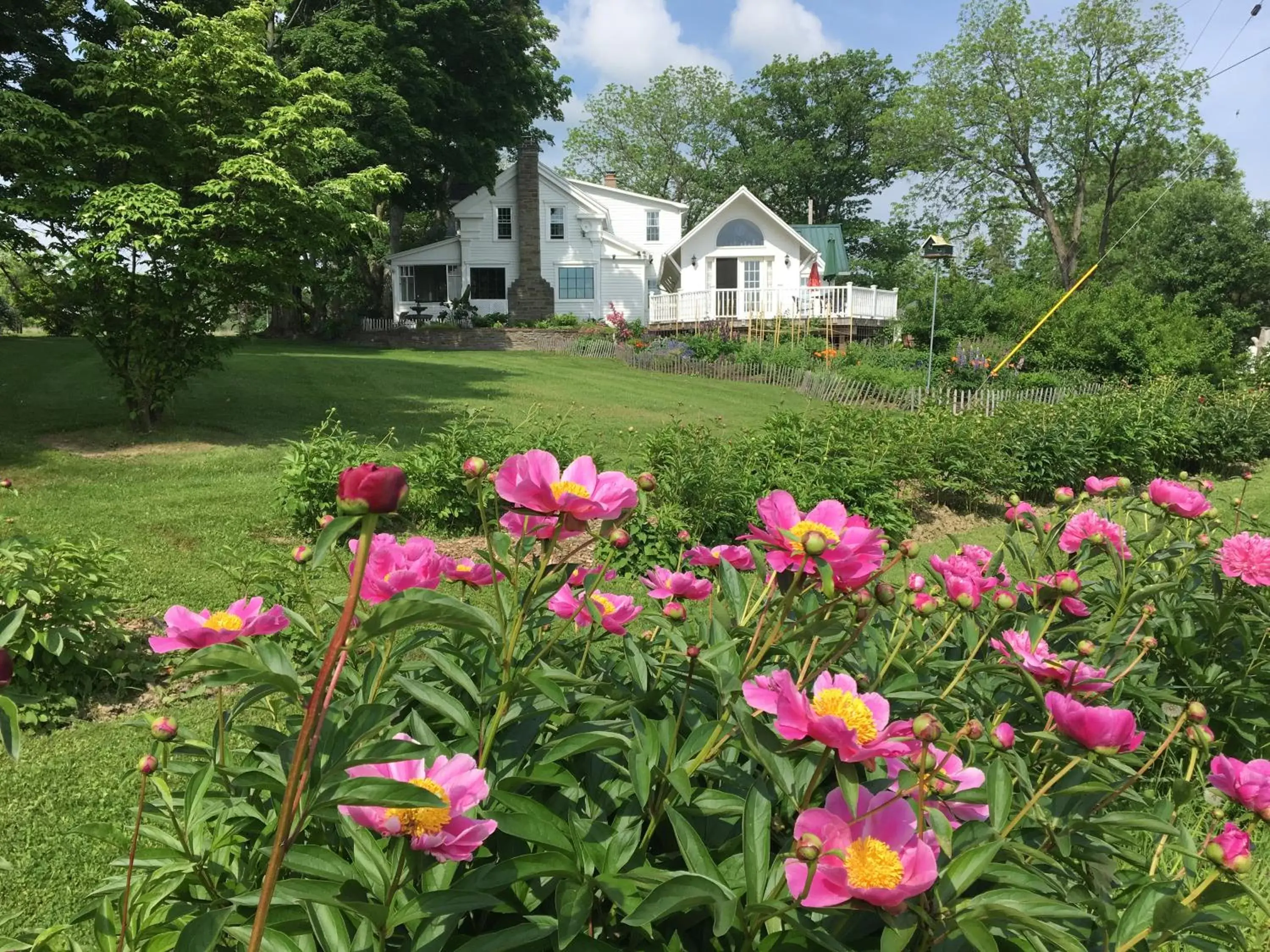 Garden, Property Building in Enfield Manor Bed&Breakfast and Vacation Rental