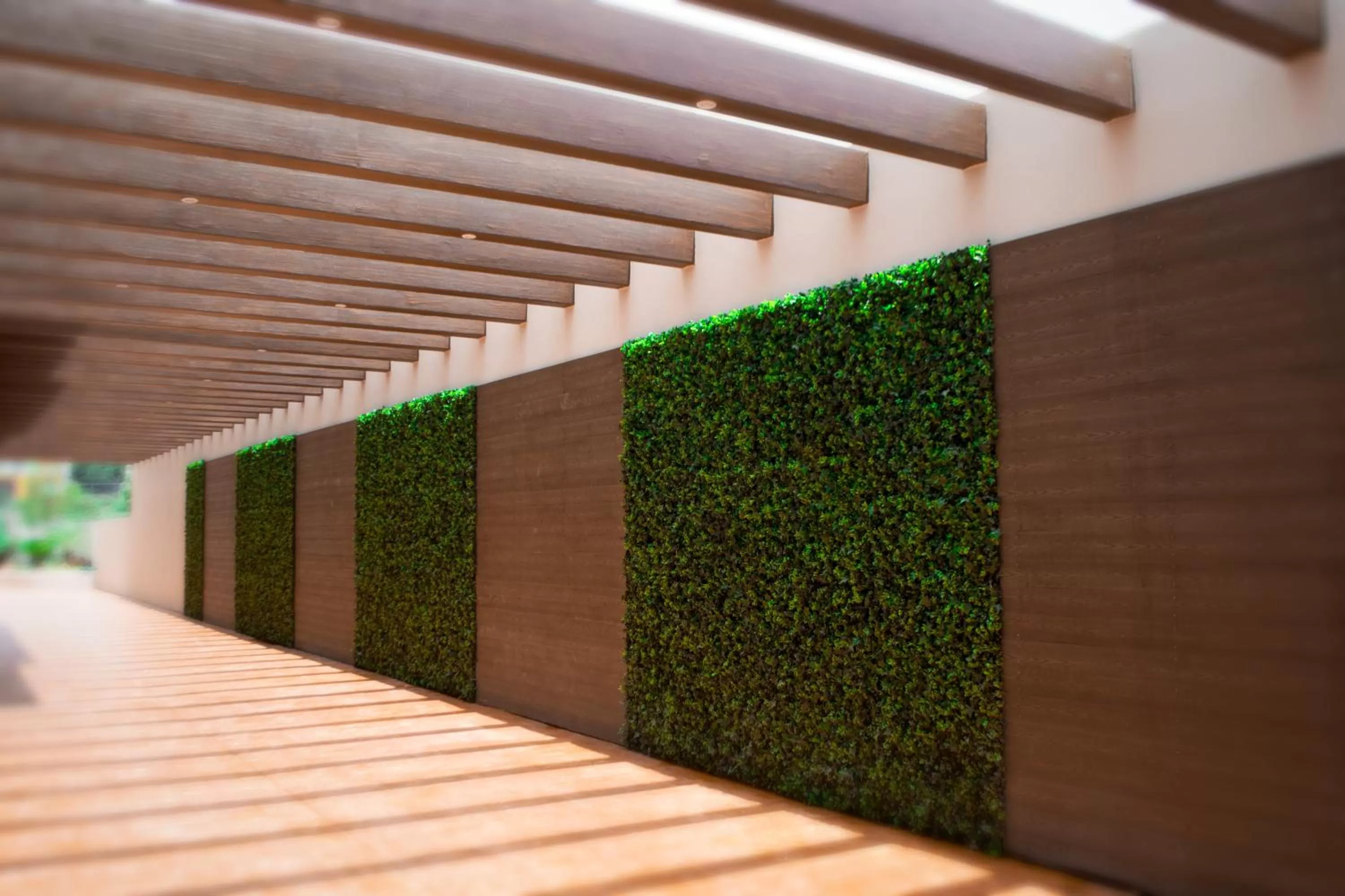 Off site in Best Western Plus Santa Cecilia Pachuca