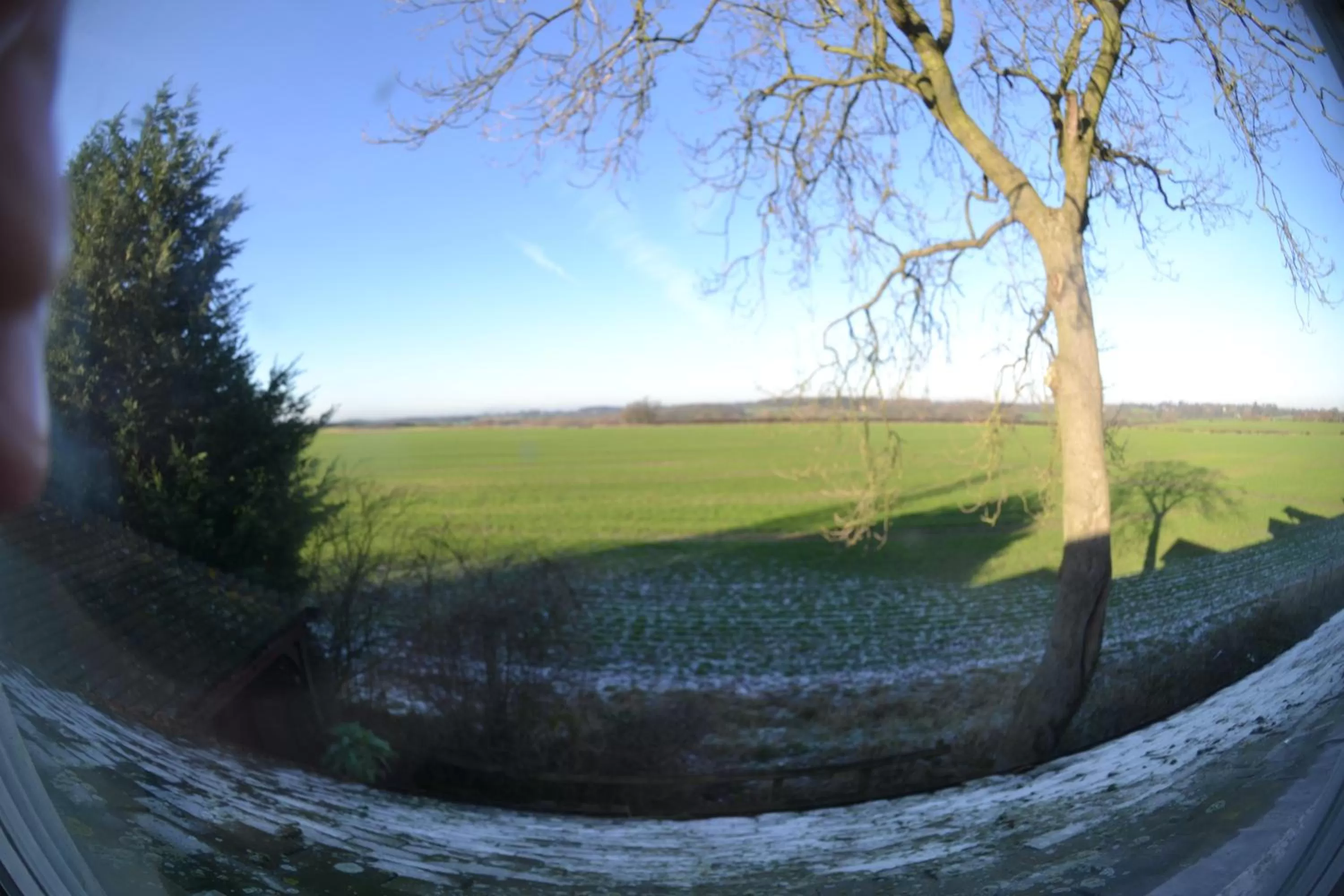 Garden in The Royal Arms Bed & Breakfast