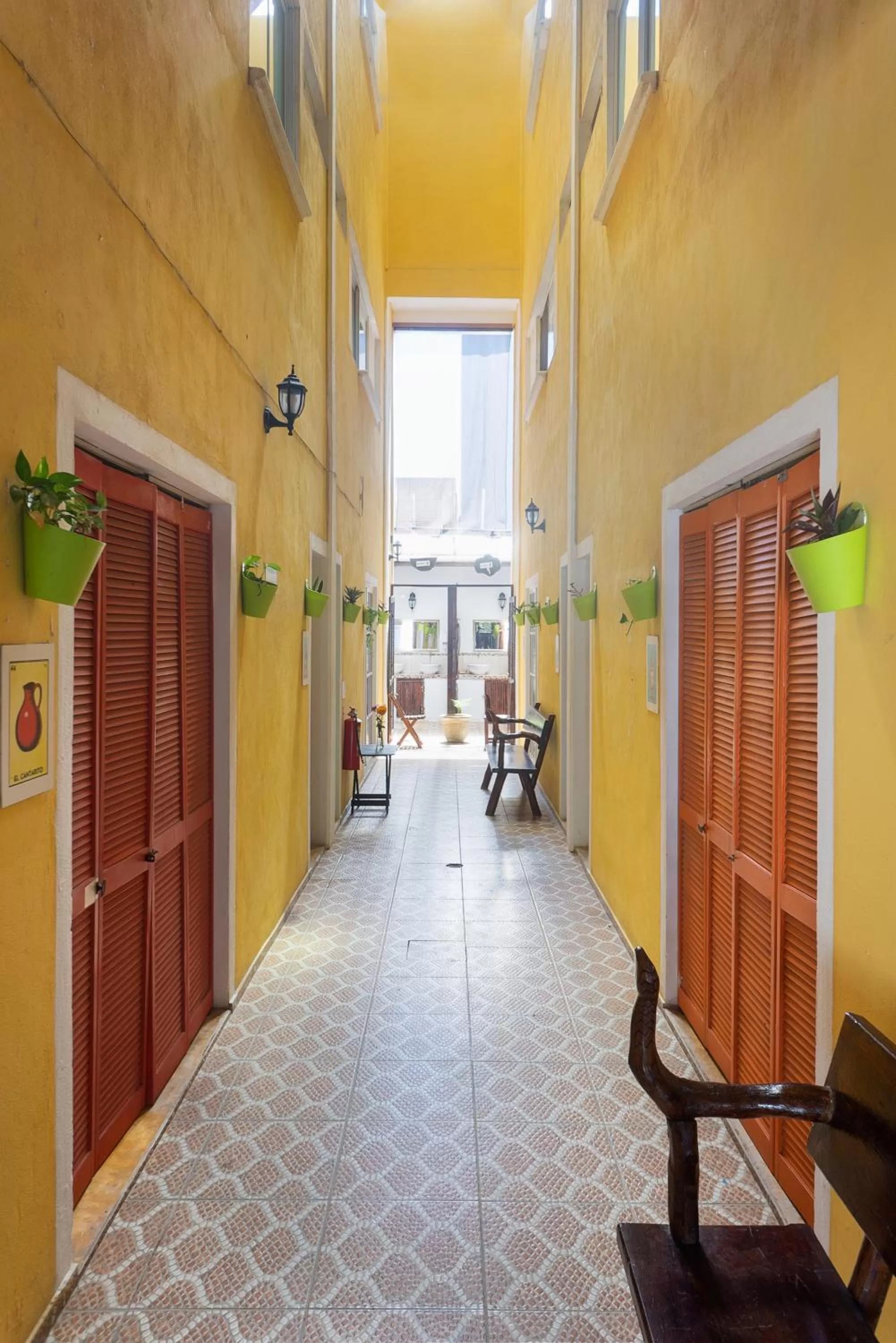 Property building in Casa Frida