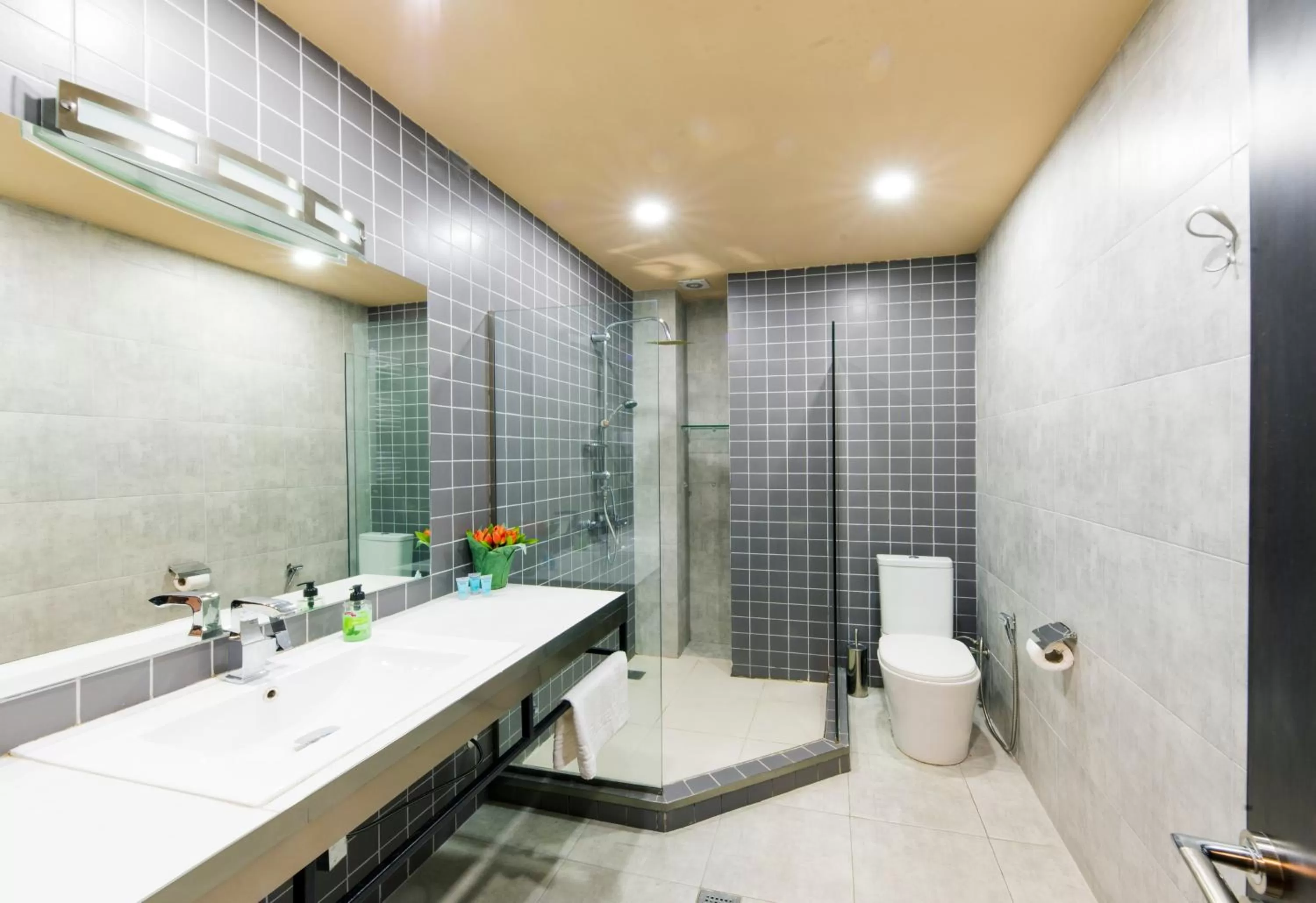 Bathroom in Sani Apart Hotel