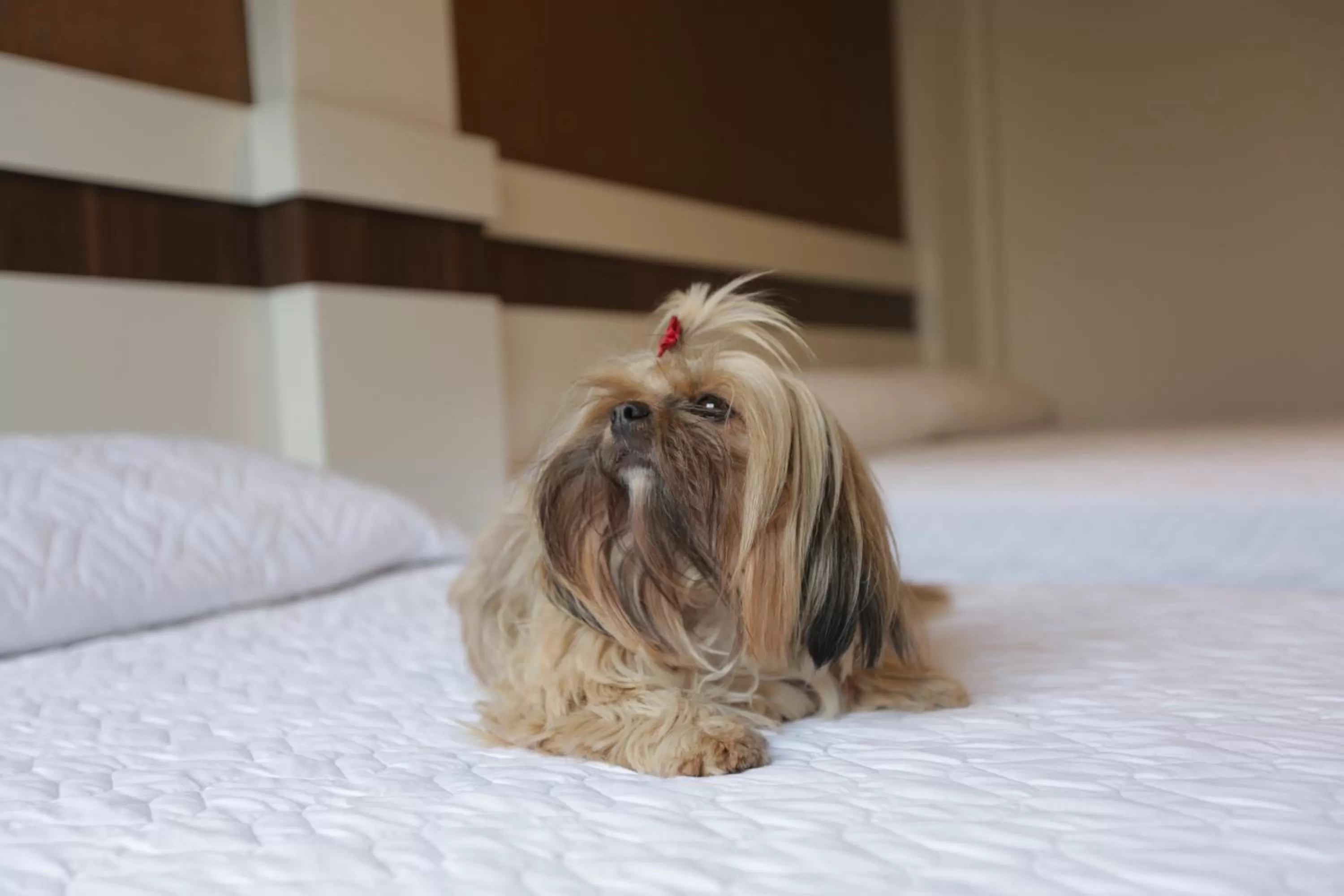 People in Hotel Vivere Cataratas