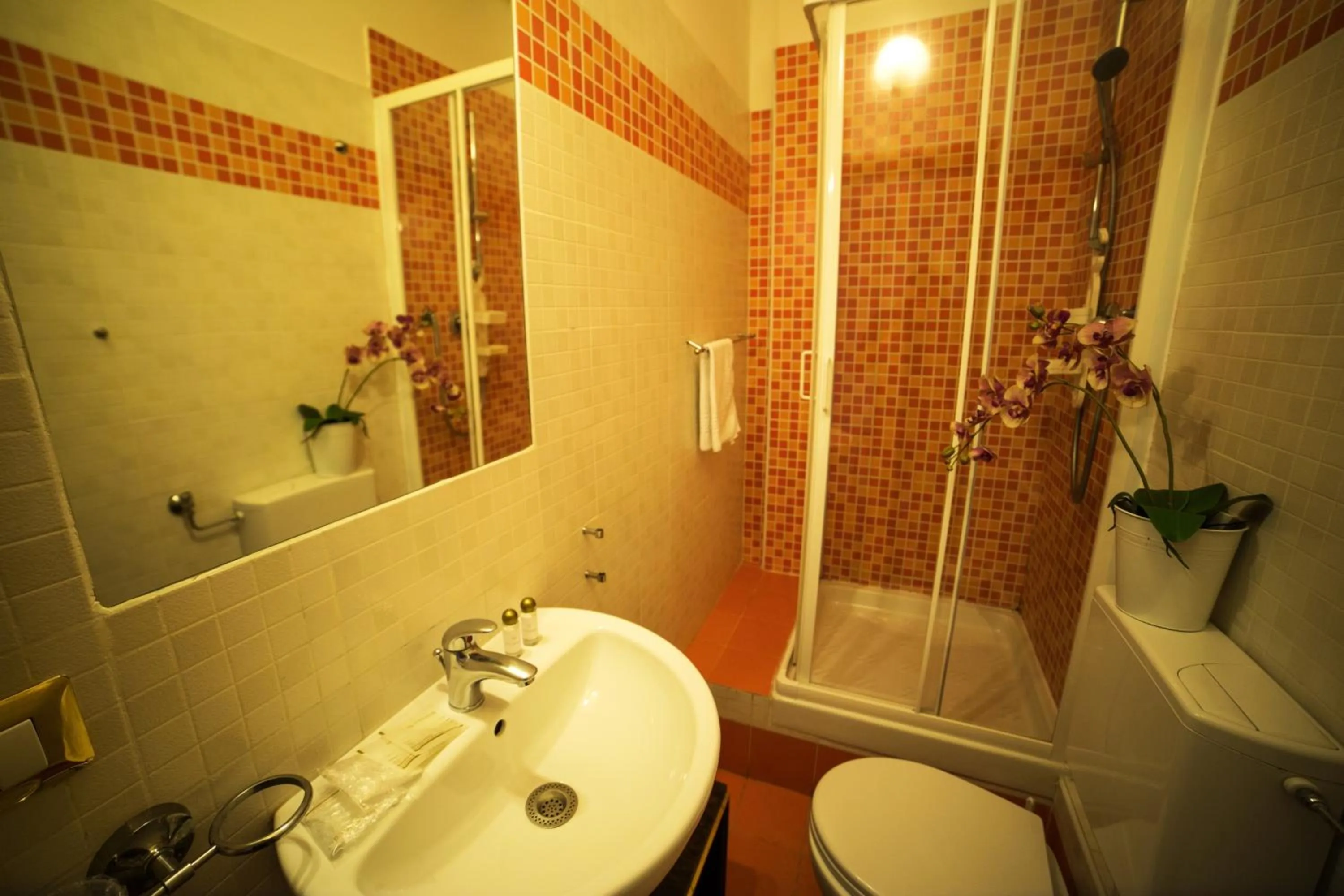 Shower in Hotel Arcadia