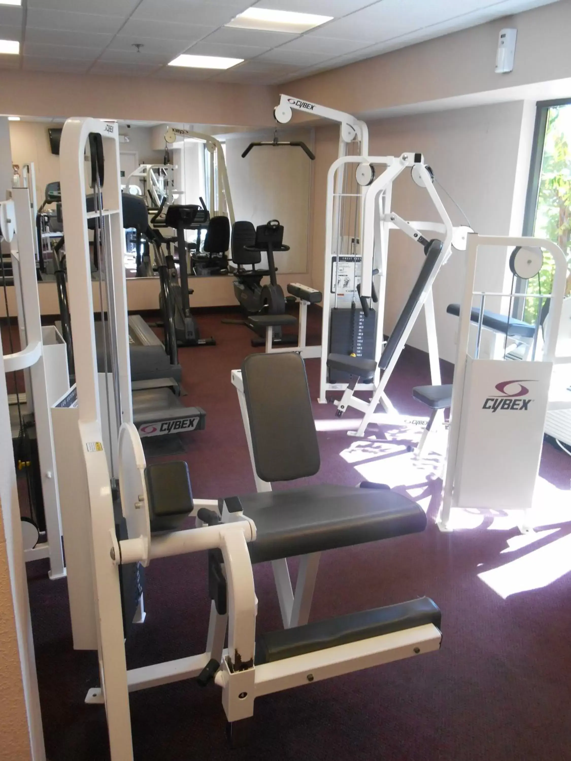 Fitness centre/facilities, Fitness Center/Facilities in Ramada by Wyndham Nashville/Music Valley