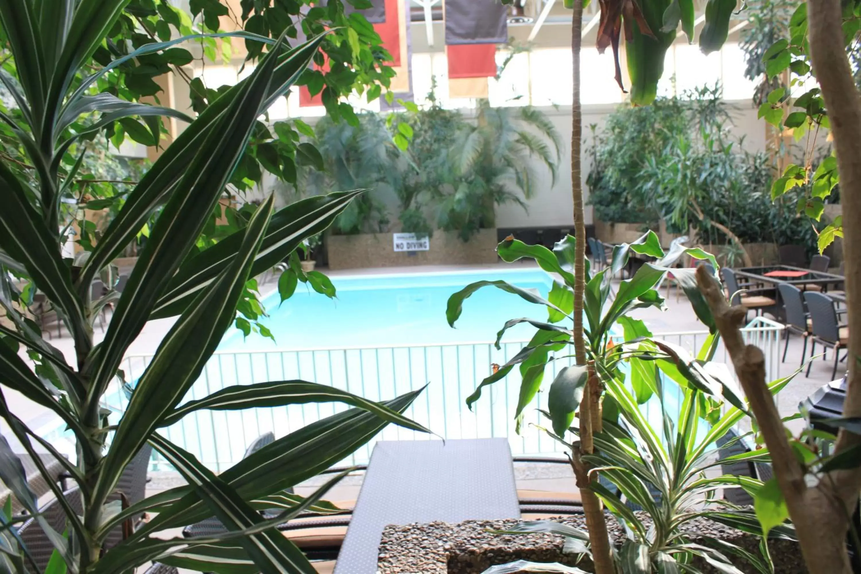 Pool view in Westlock Inn & Conference Centre Pool view in Westlock Inn & Conference Centre