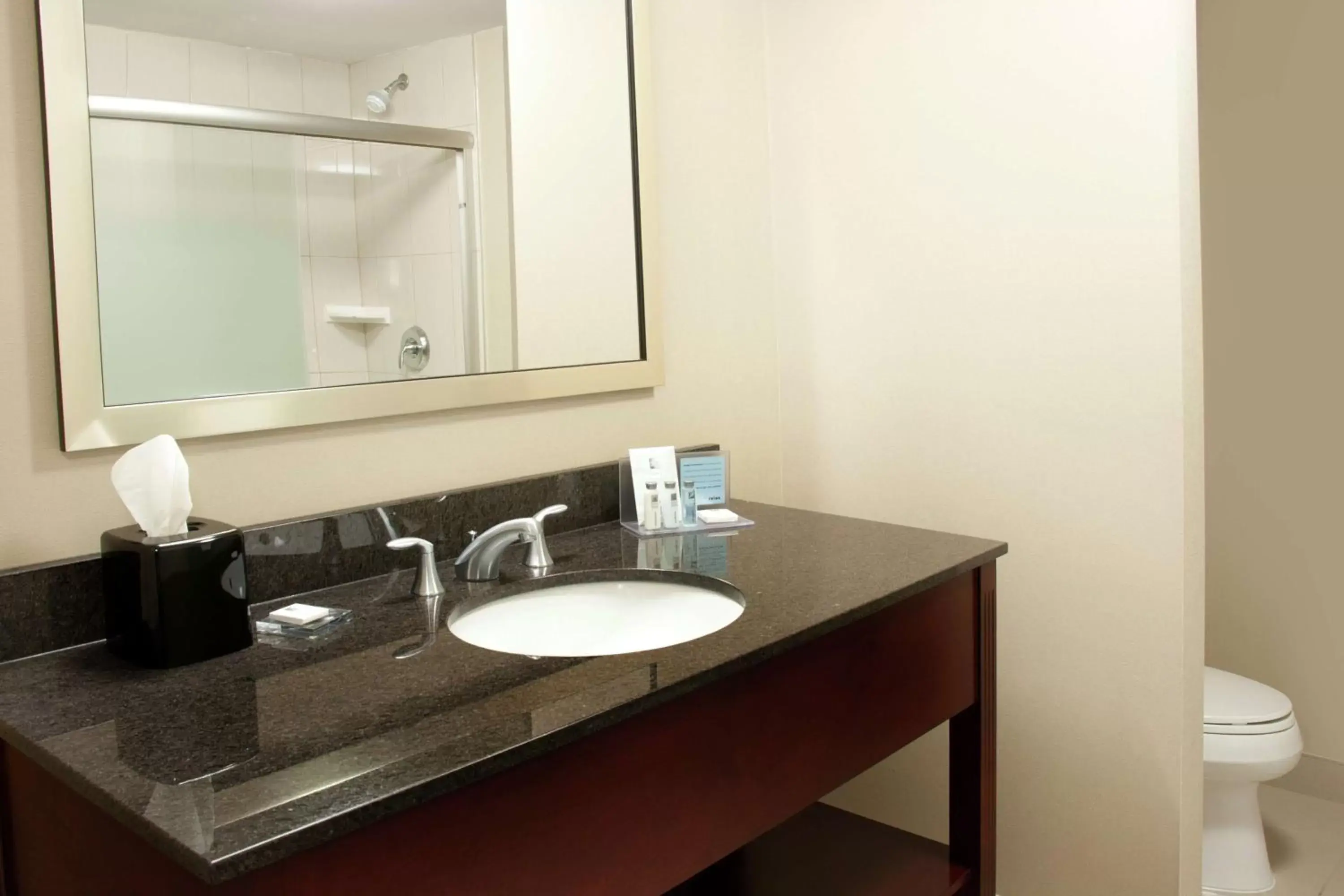 Bathroom in Hampton Inn by Hilton Brampton - Toronto