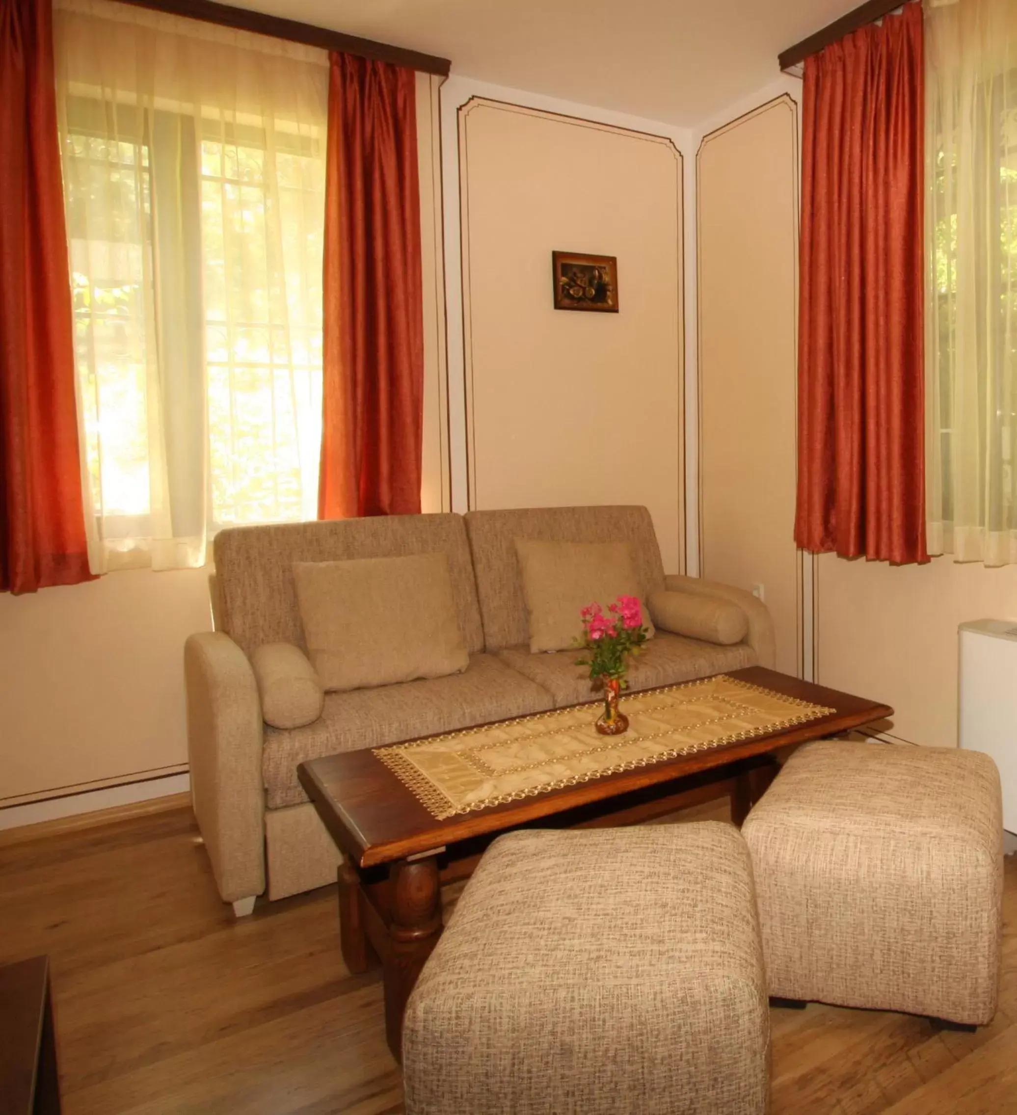 Living room, Seating Area in Hotel Alafrangite