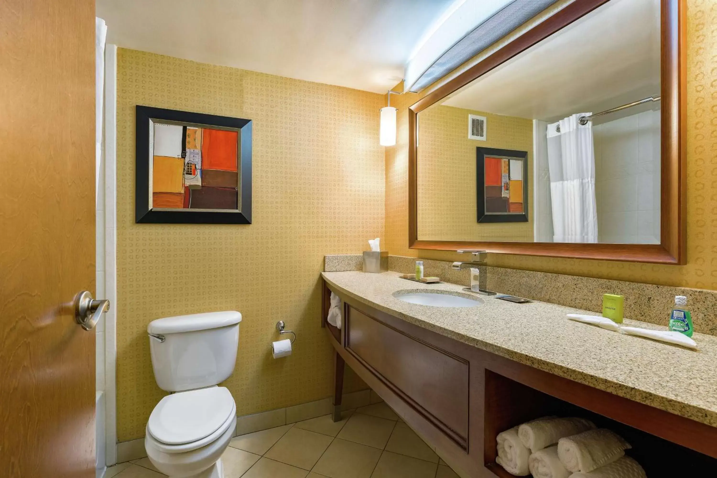 Bathroom in DoubleTree by Hilton Johnson City