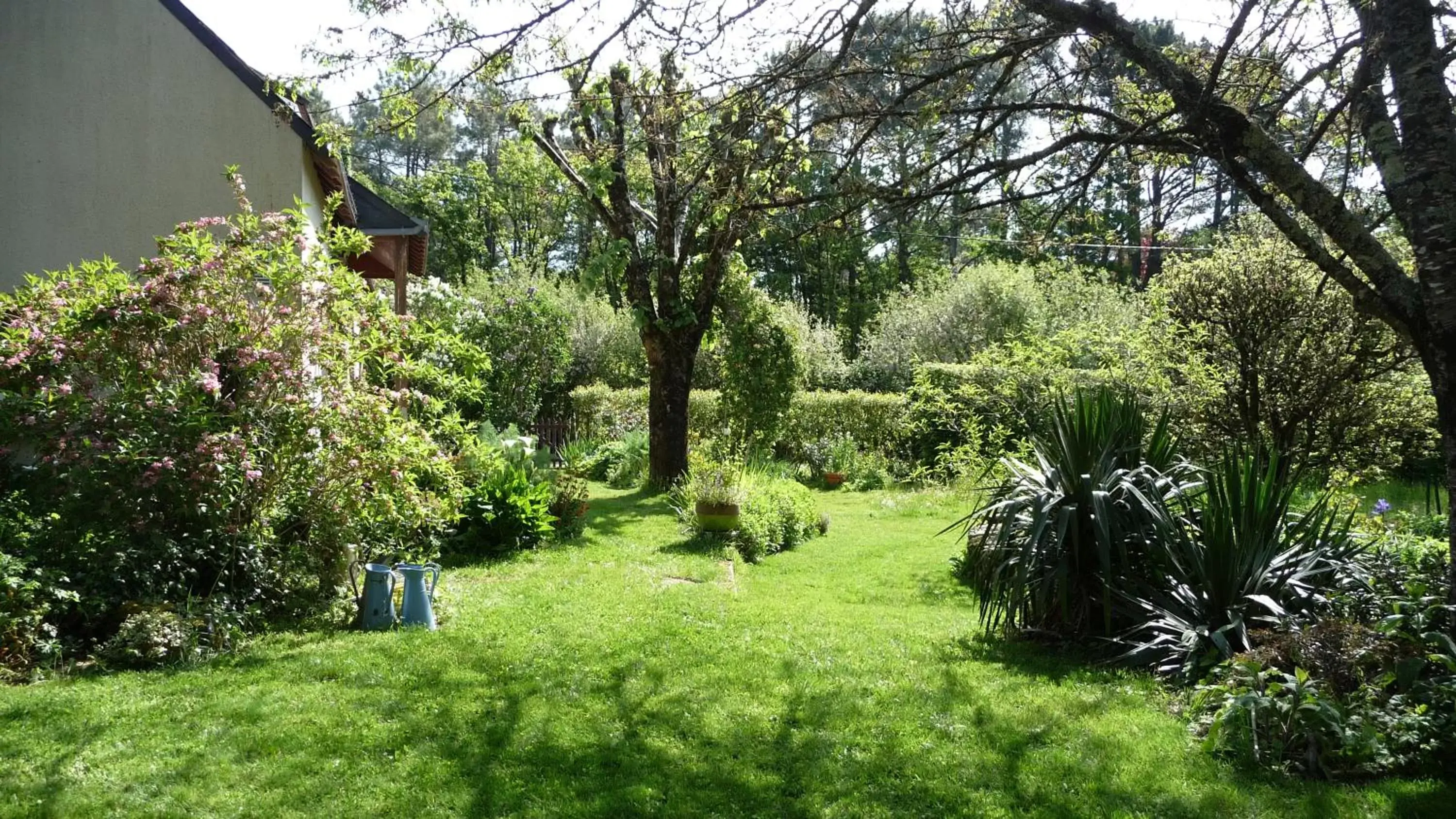 Garden view, Garden in Le Jardin aux Oiseaux