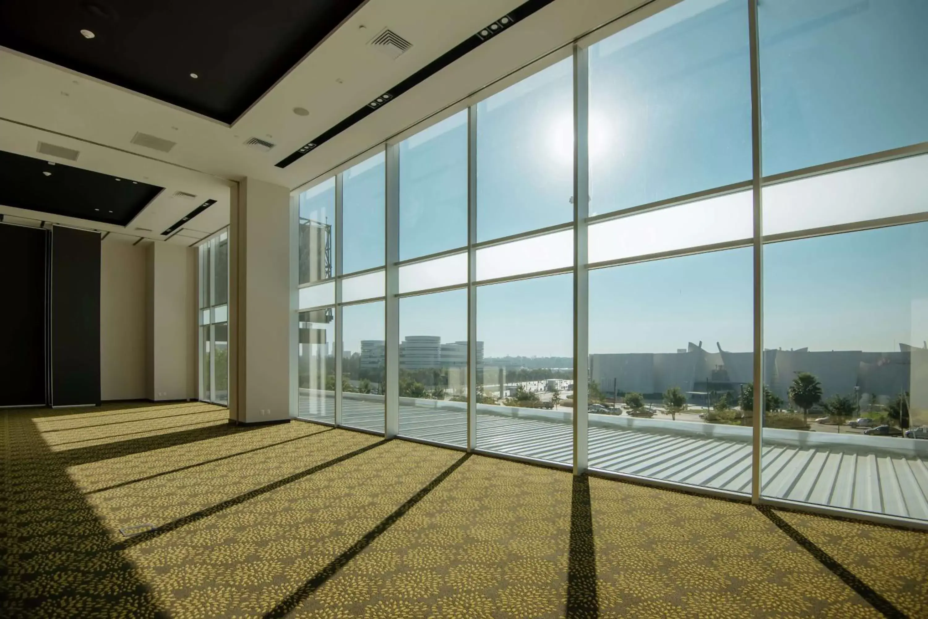 Meeting/conference room in Hilton Garden Inn Puebla Angelopolis