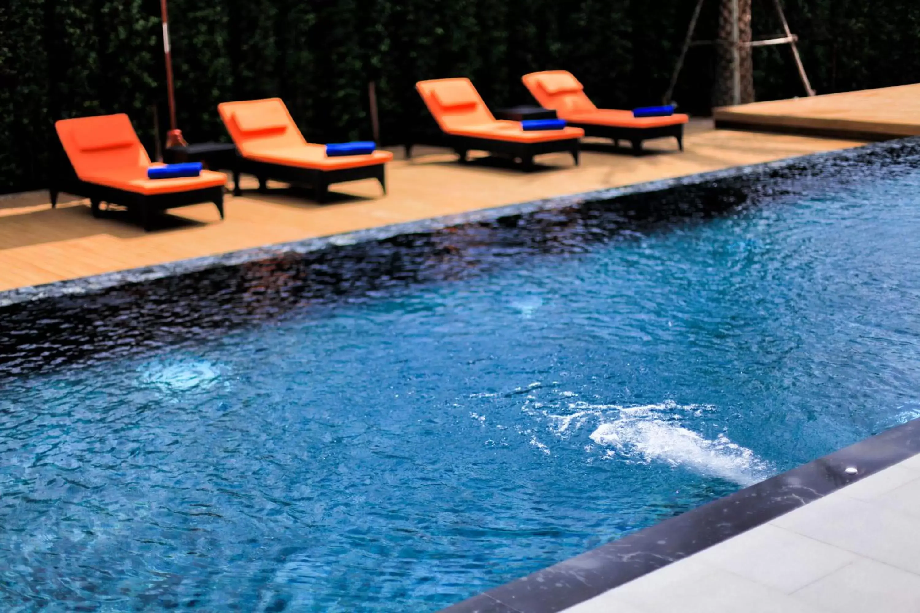 Day, Swimming Pool in The Zense Boutique Hotel