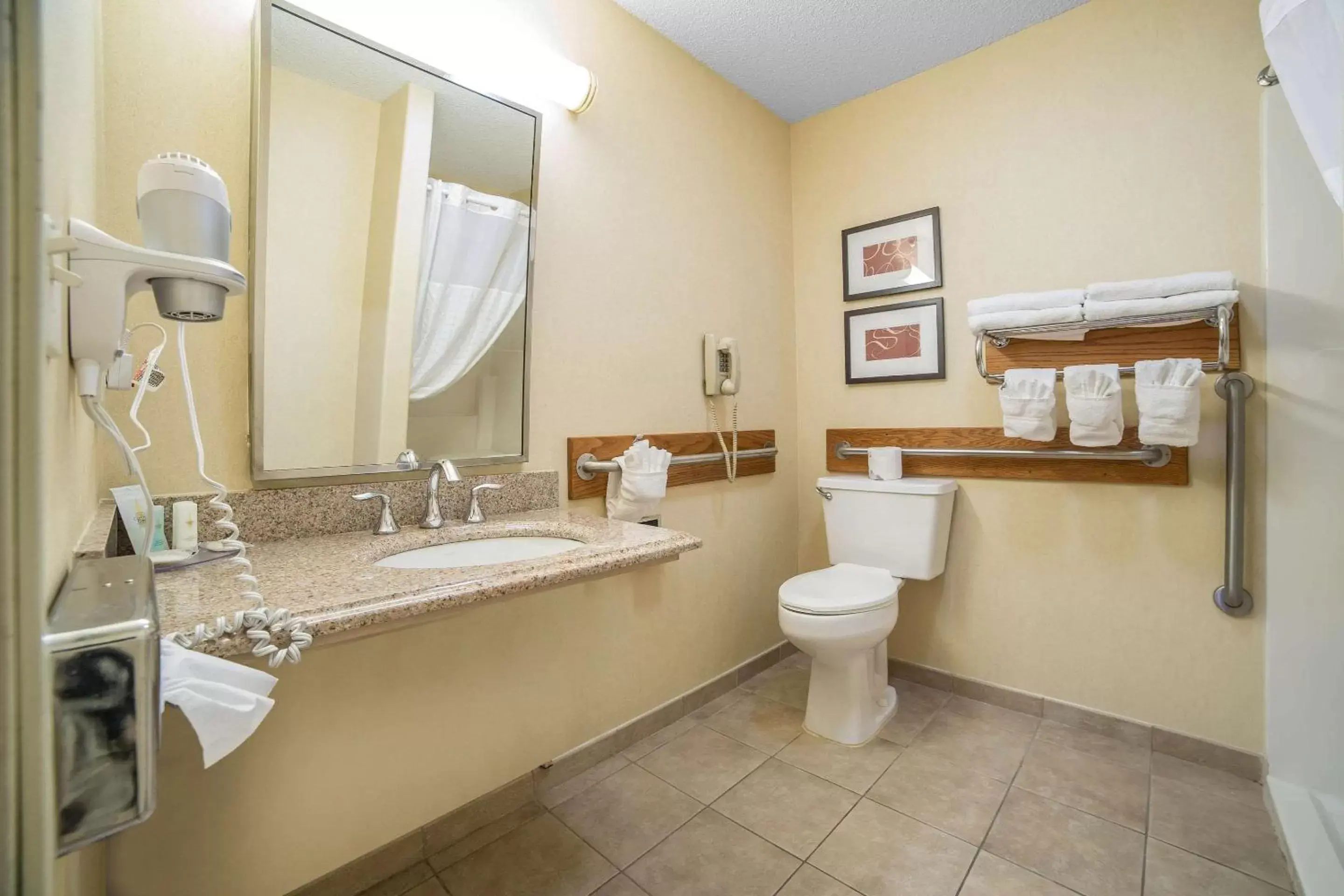 Bathroom in Comfort Inn Grand Junction I-70