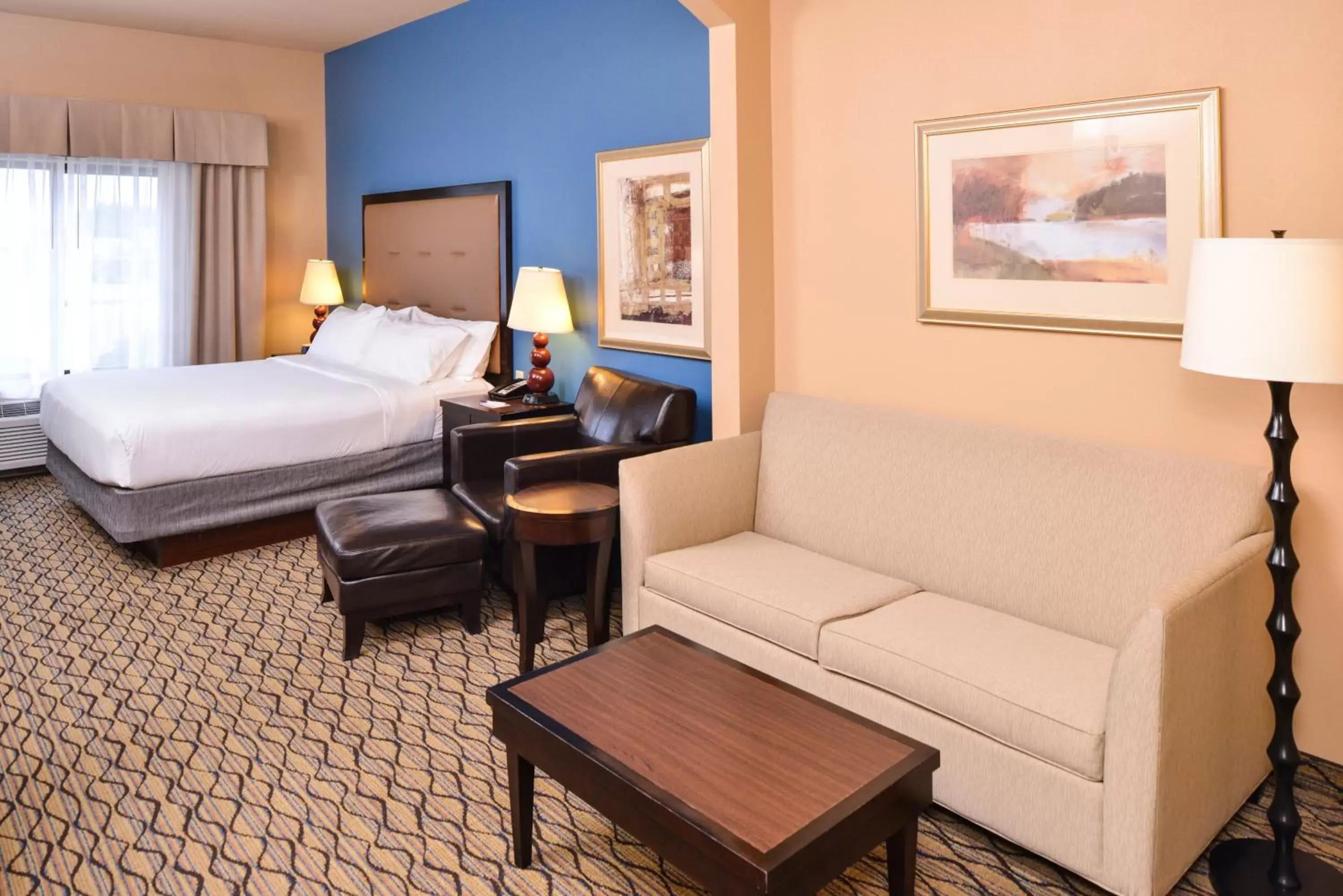 Photo of the whole room in Holiday Inn Express Hotel & Suites Wichita Falls, an IHG Hotel