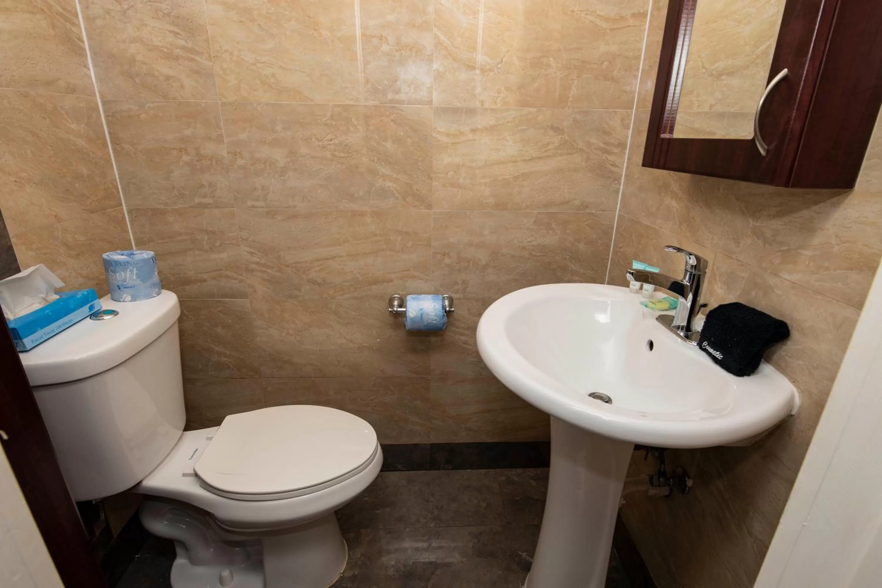 Bathroom in Caribbean Resort by the Ocean