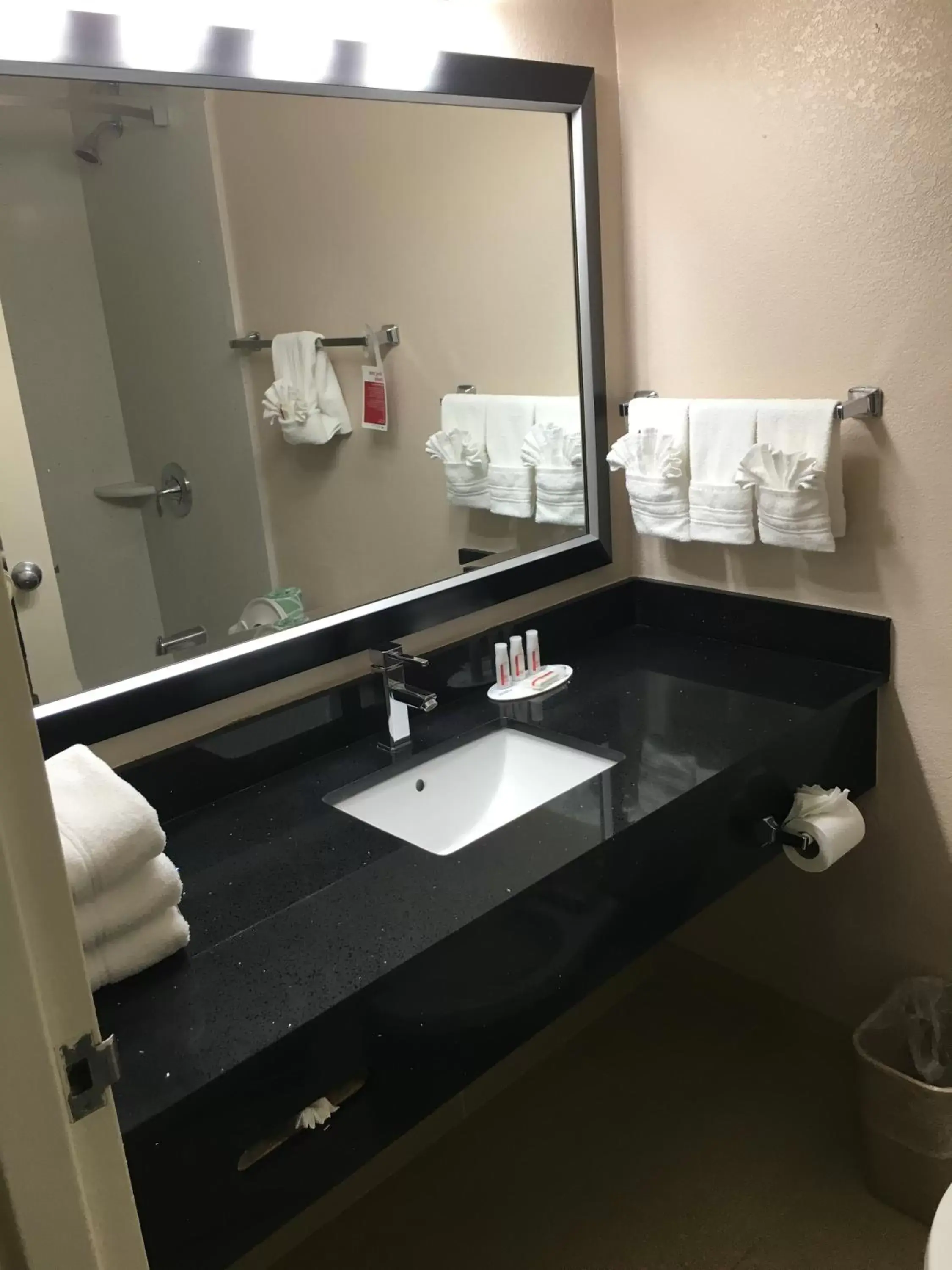 Other, Bathroom in Ramada Plaza by Wyndham Charlotte South End Airport