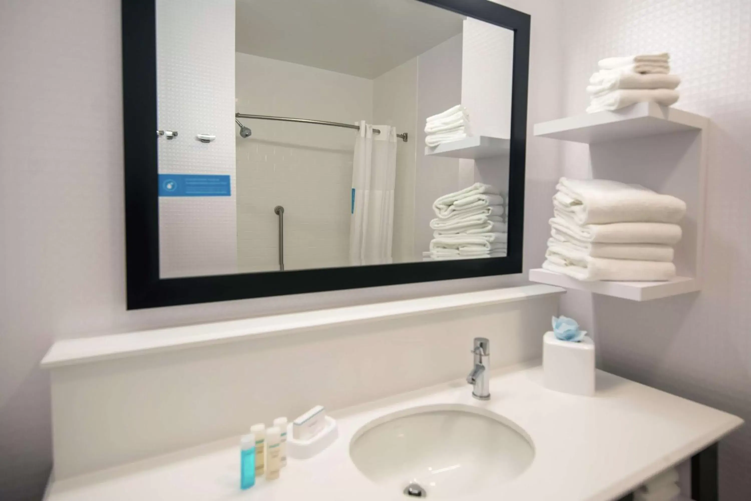 Bathroom in Hampton Inn and Suites at Wisconsin Dells Lake Delton