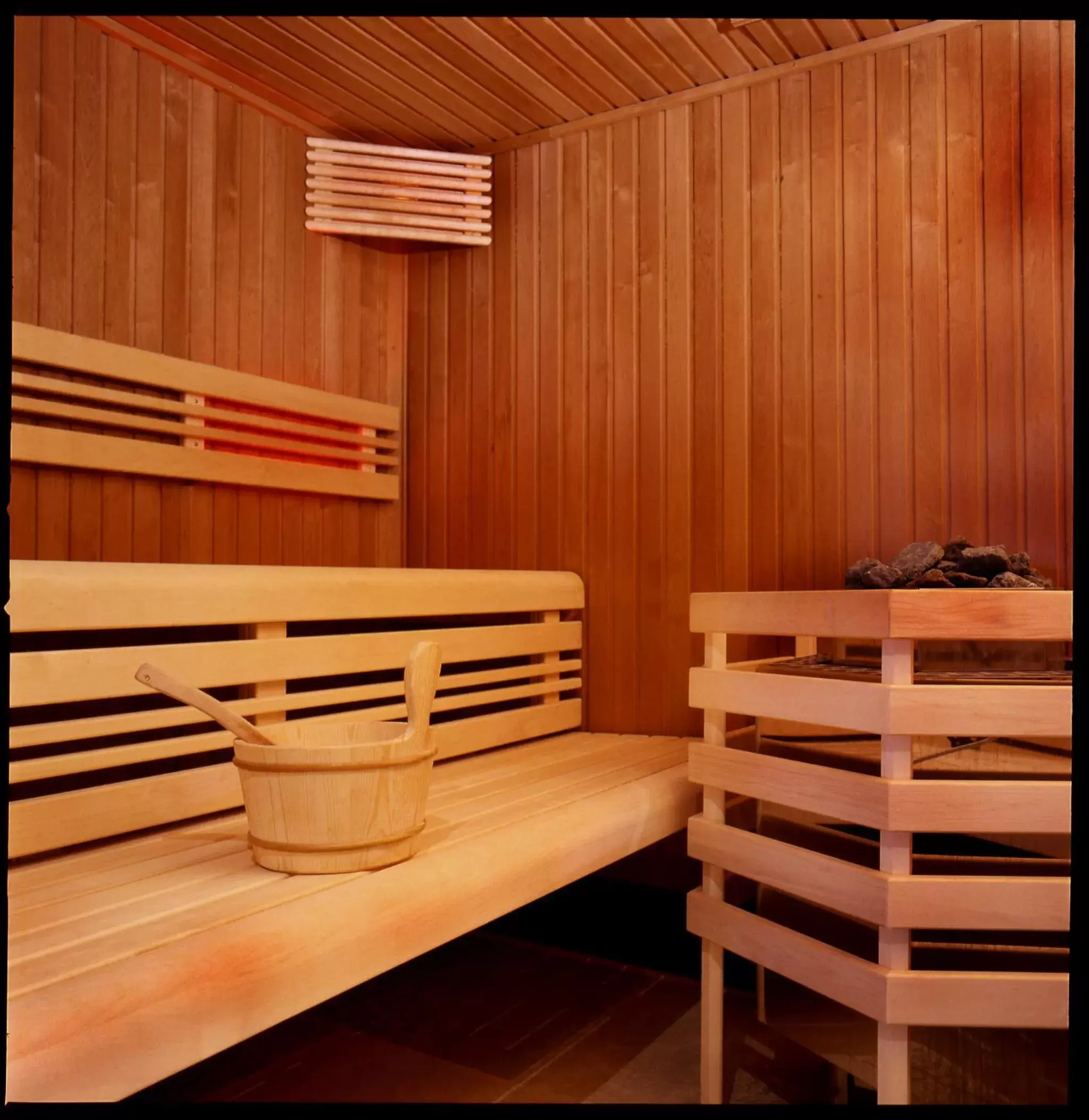 Sauna in Hôtel Antares & Spa