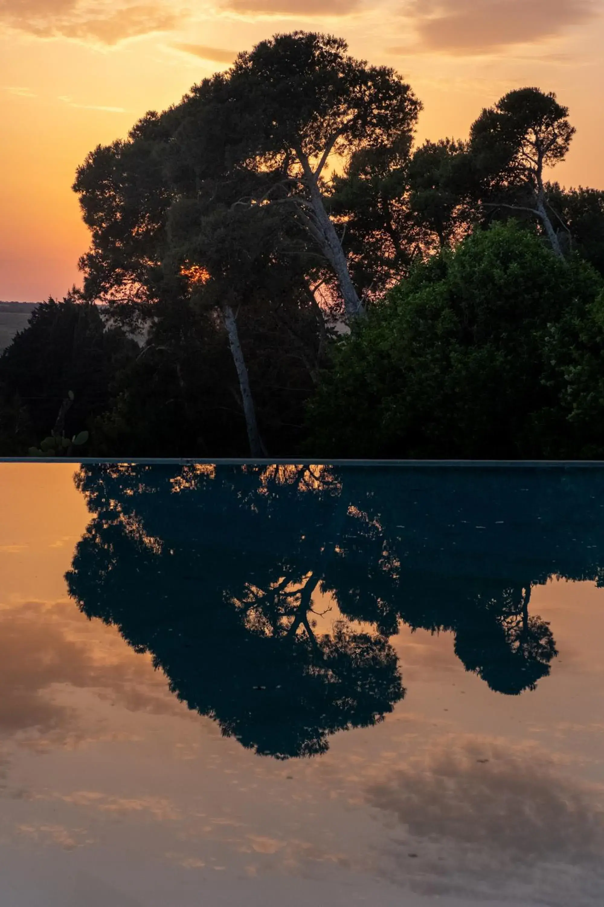 Sunset, Swimming Pool in Baglioni Masseria Muzza