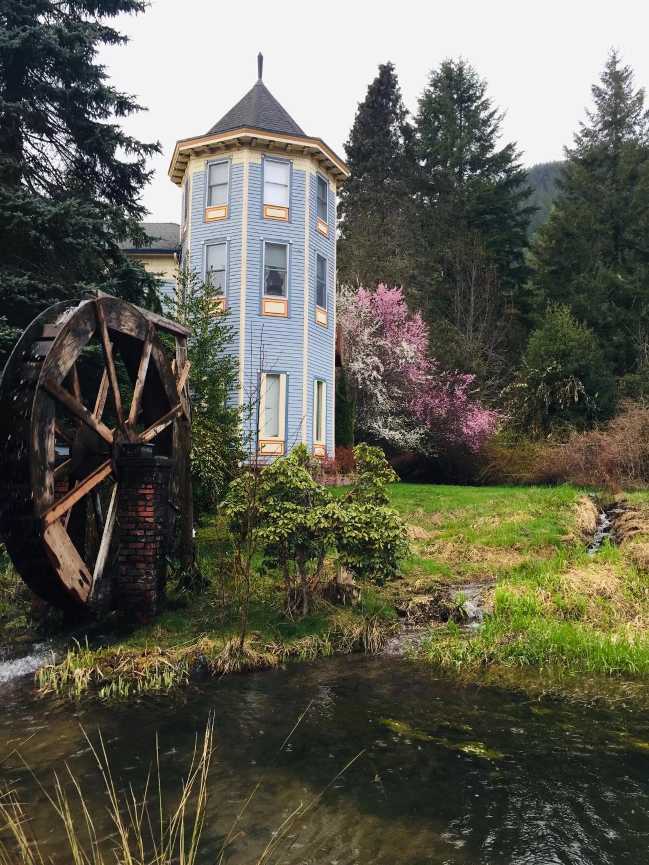 Property building in Alexander's Lodge