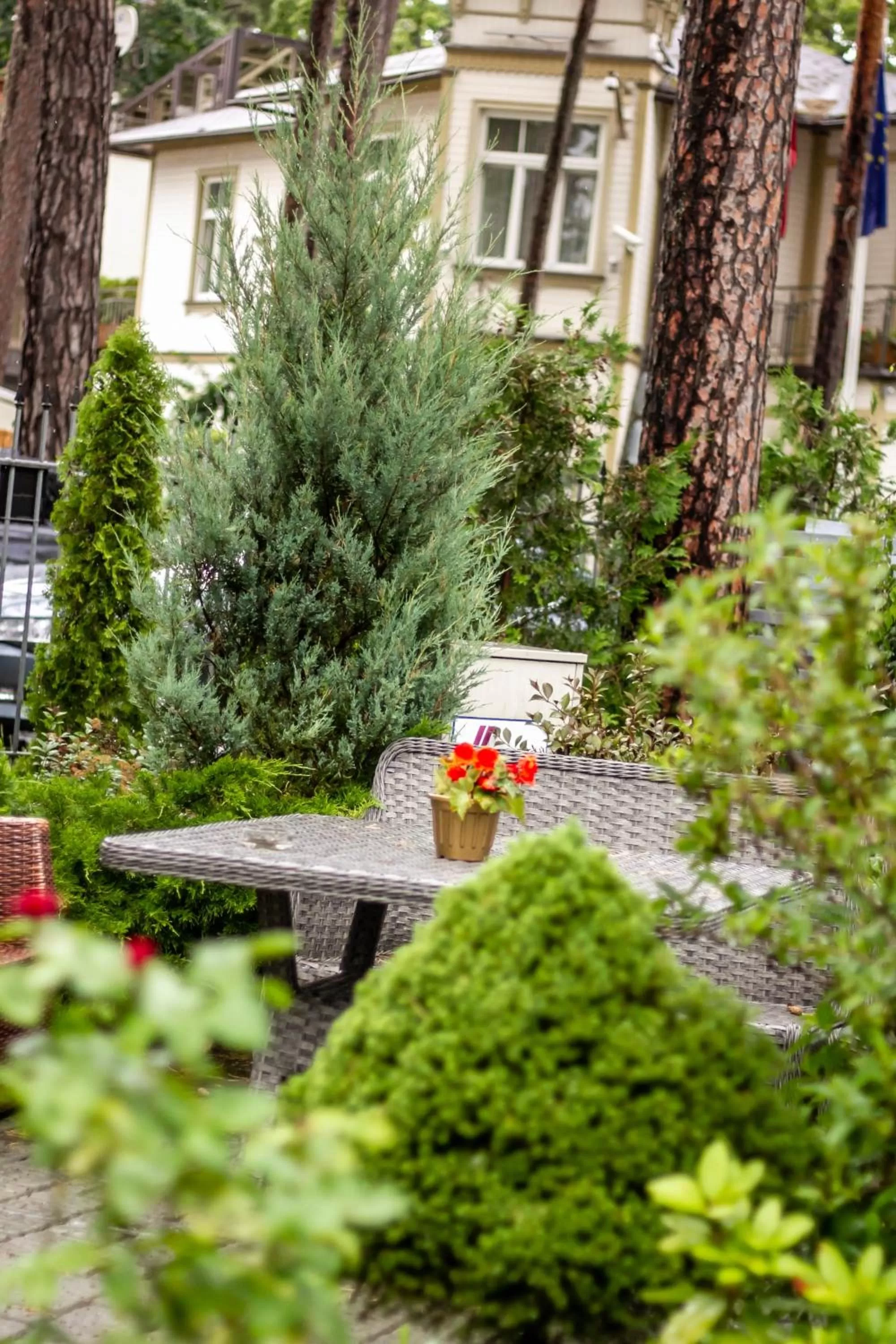 Garden in Sunset Hotel