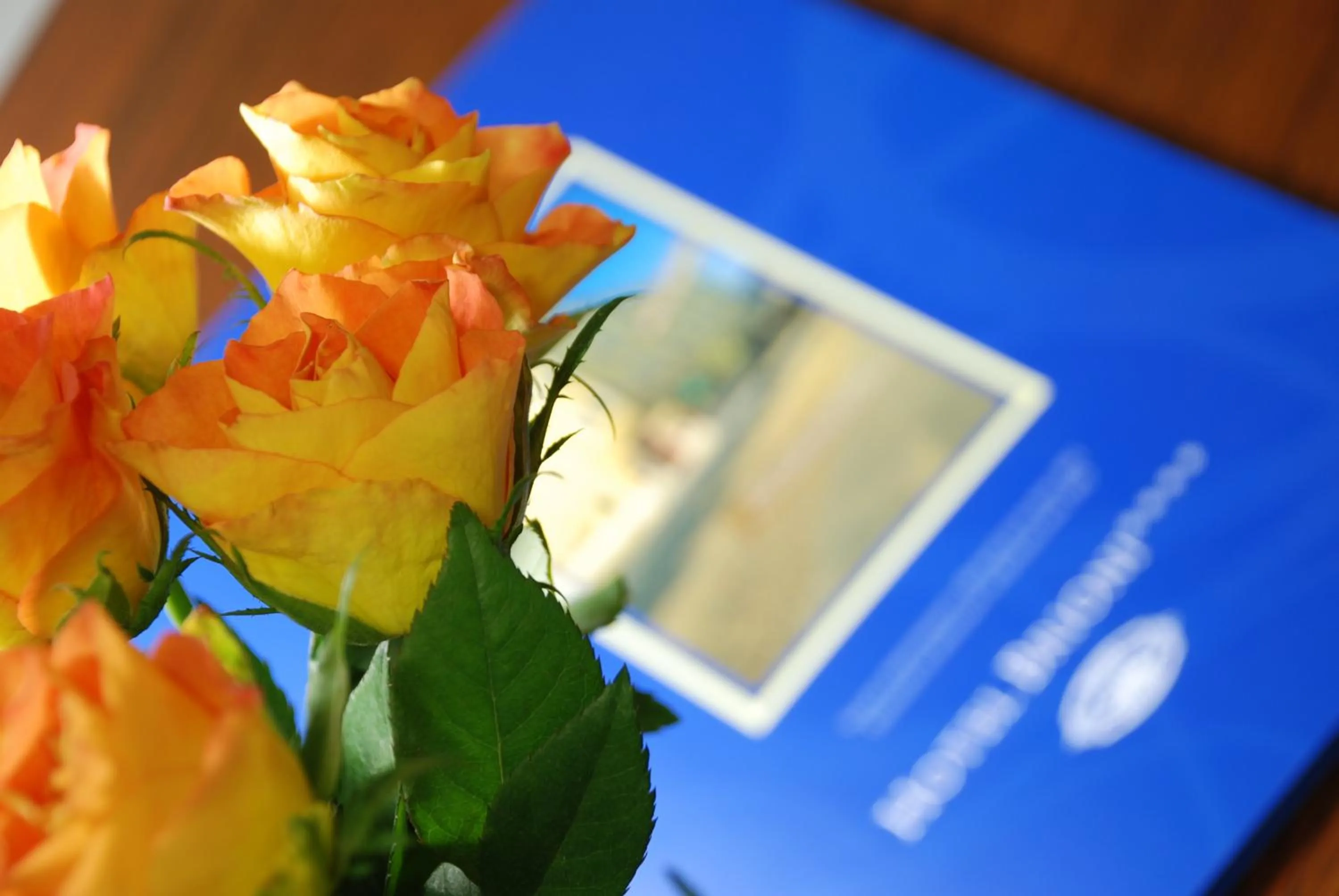 Decorative detail in Brioni Boutique Hotel 4*