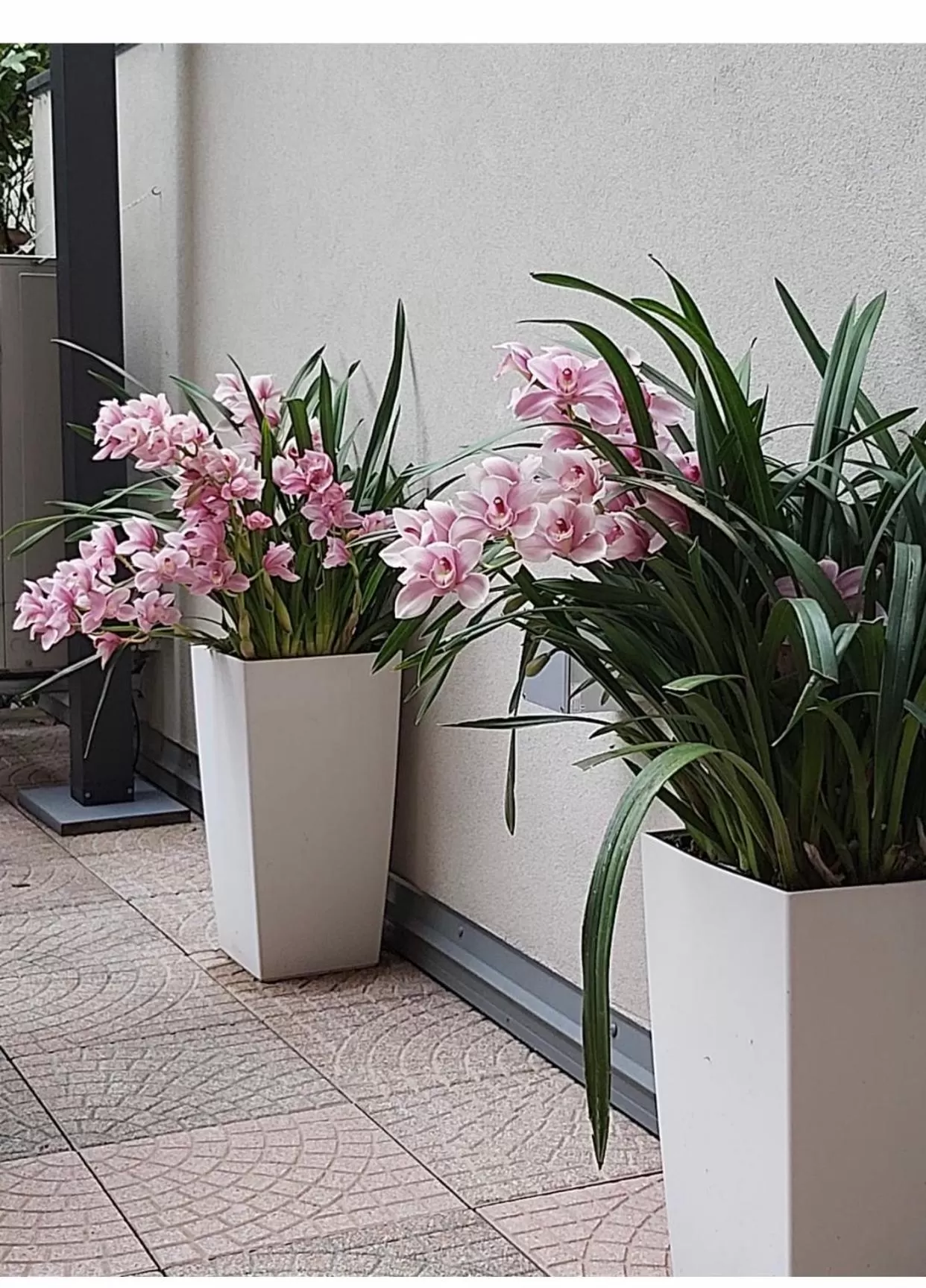 Property building in Smart House Rental Rooms FREE PARKING