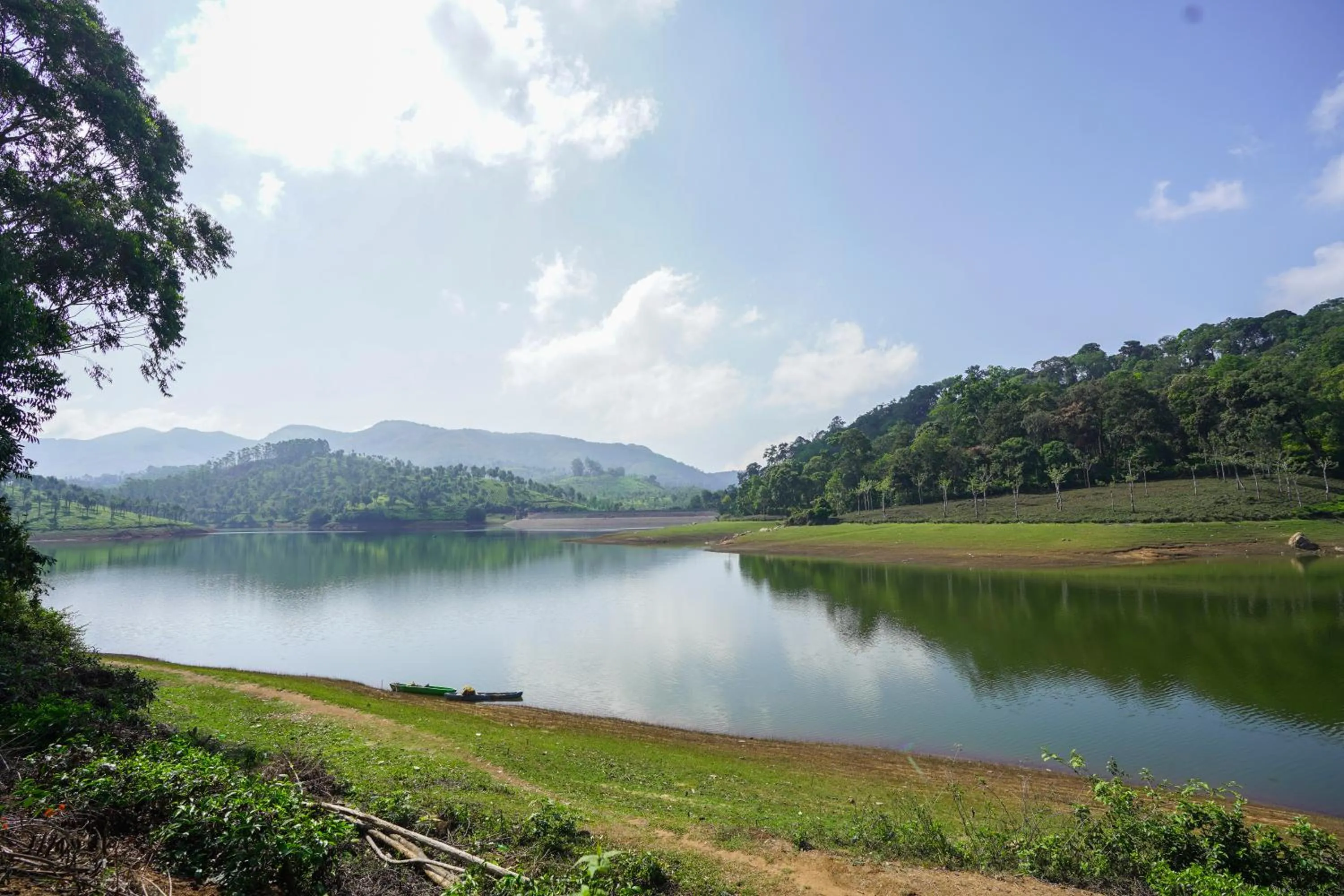 Natural landscape in Tea Valley Resort, Munnar