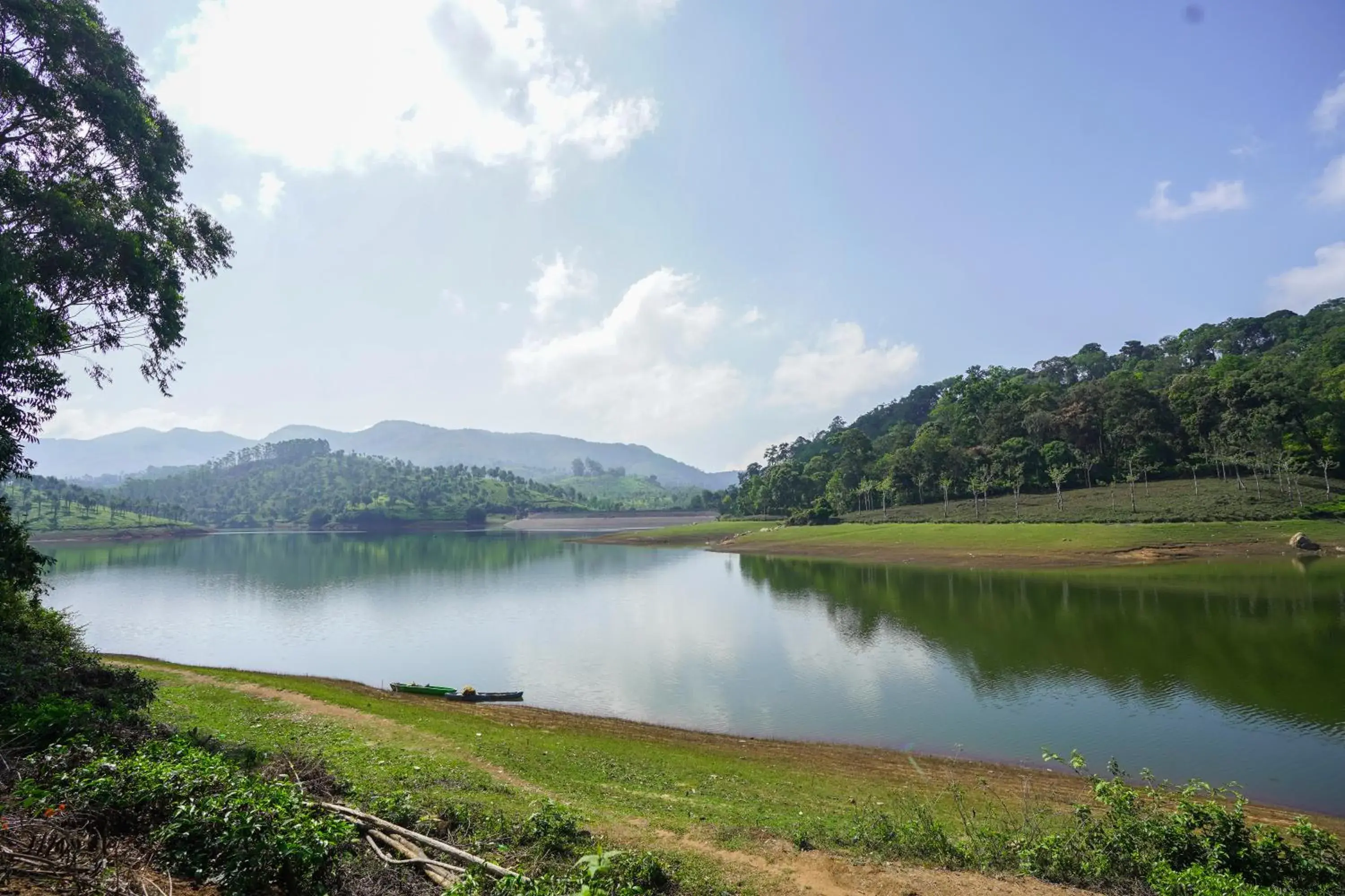 Natural Landscape in Tea Valley Resort