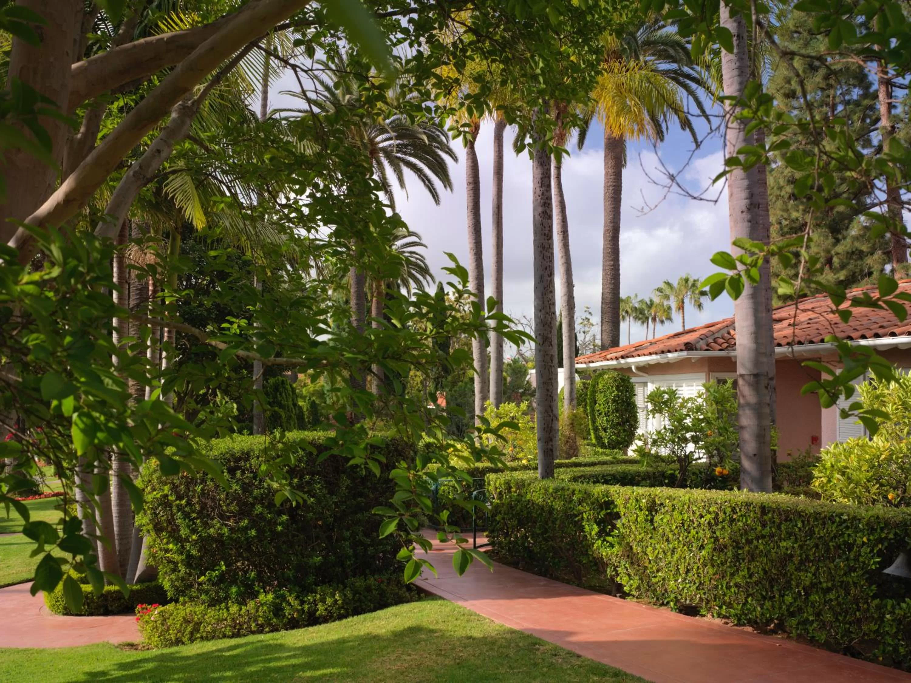 Garden in The Beverly Hills Hotel - Dorchester Collection