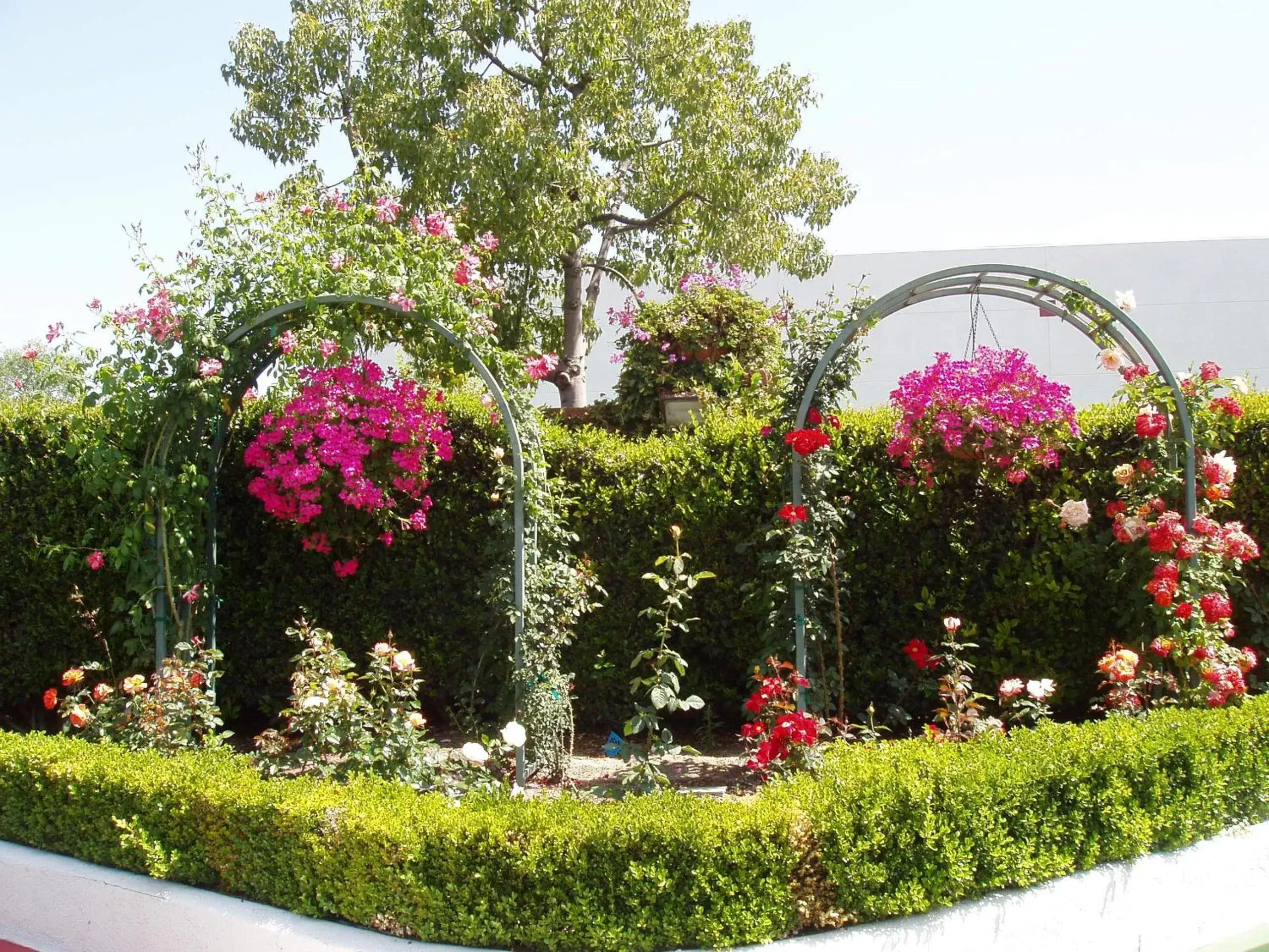 Decorative detail, Garden in Laguna Hills Lodge-Irvine Spectrum