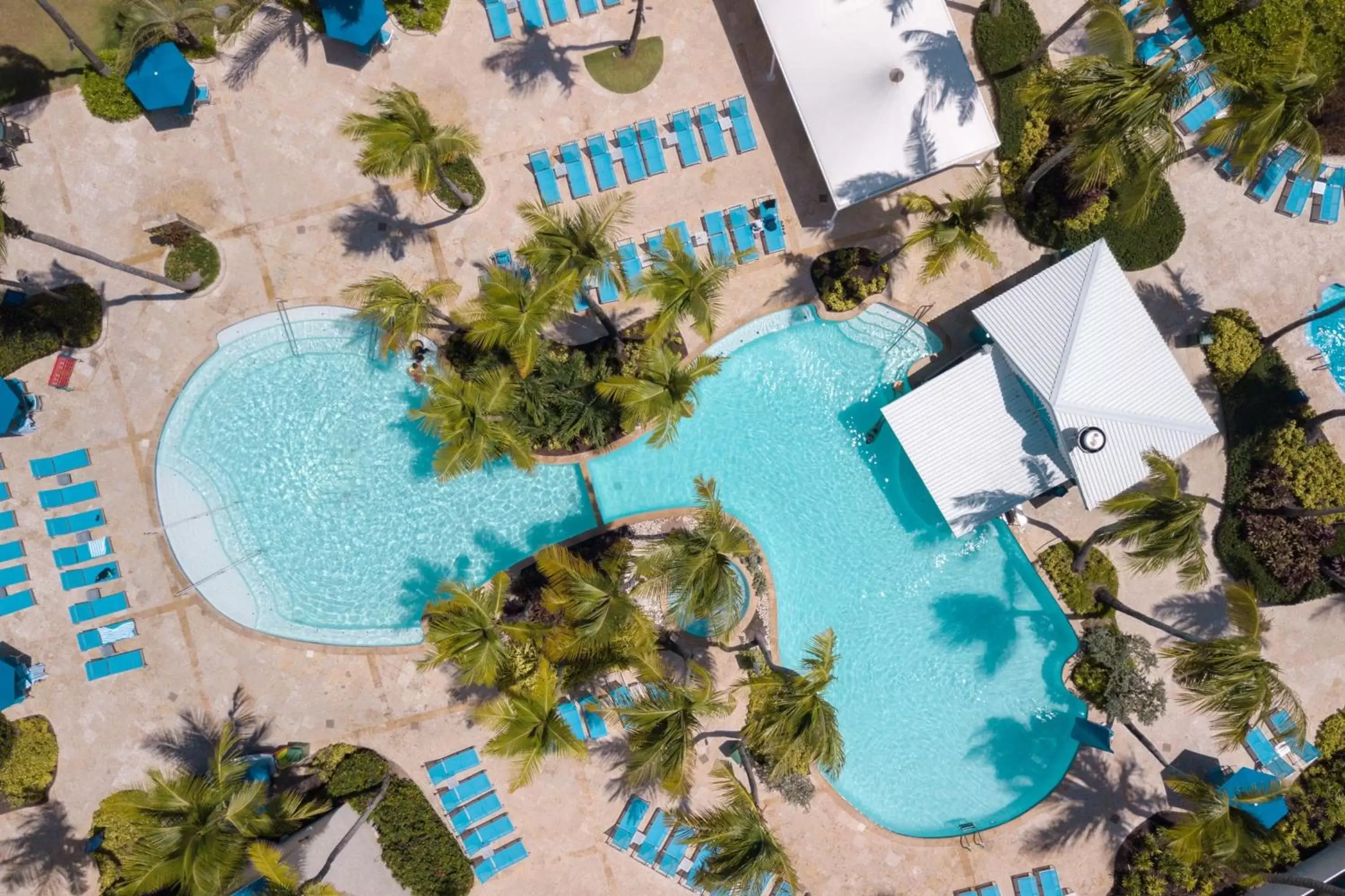 Swimming pool, Pool View in Courtyard by Marriott Isla Verde Beach Resort