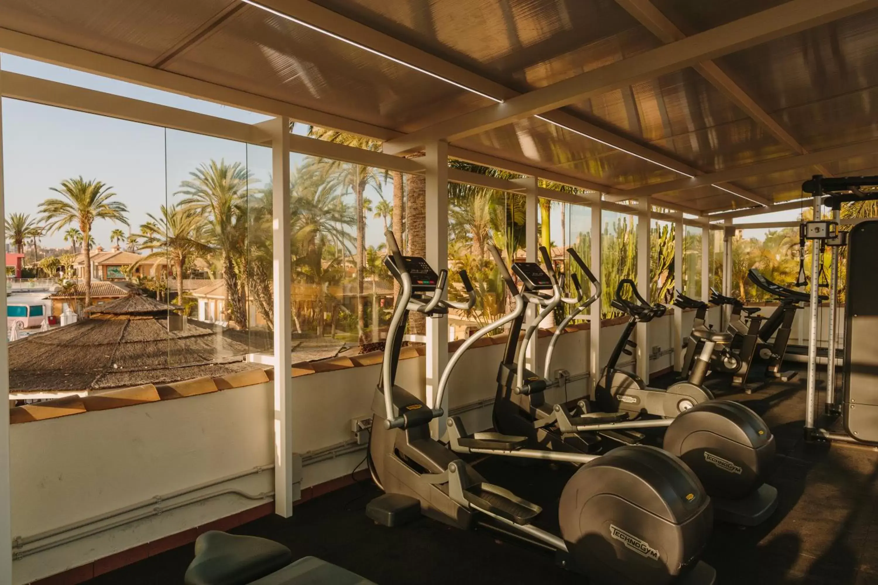 Fitness centre/facilities, Fitness Center/Facilities in Suites & Villas by Dunas