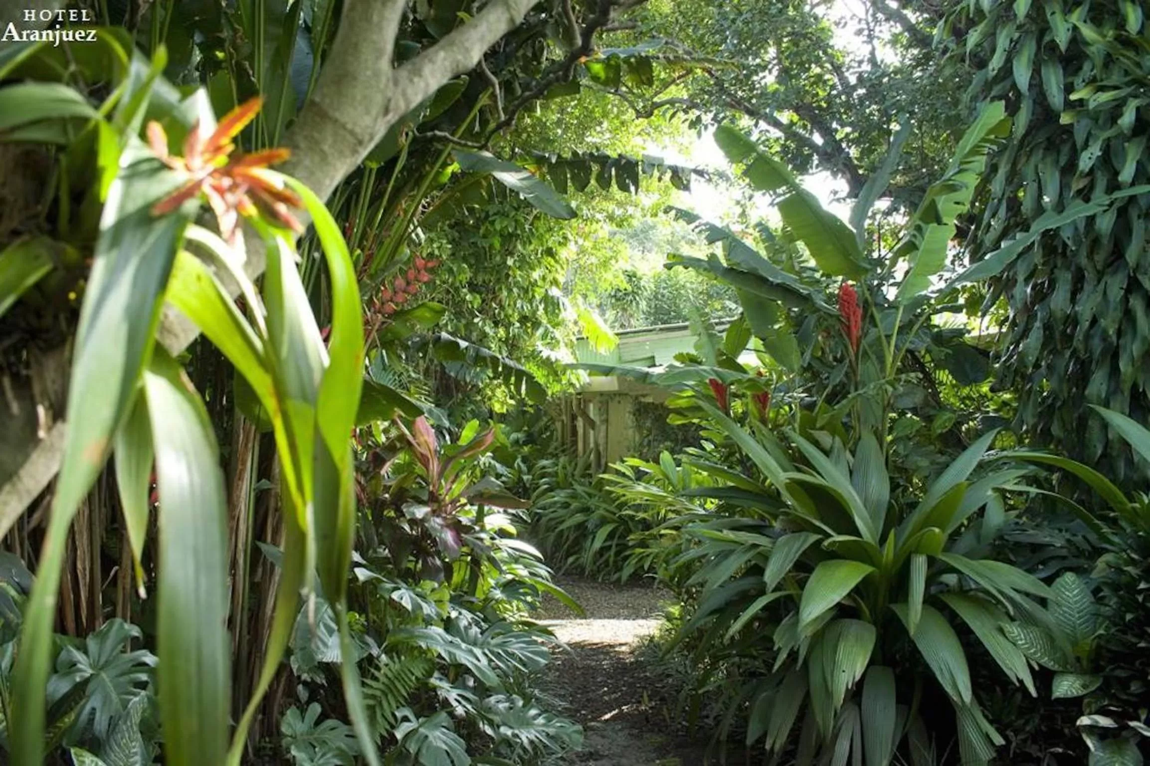Garden in Hotel Aranjuez