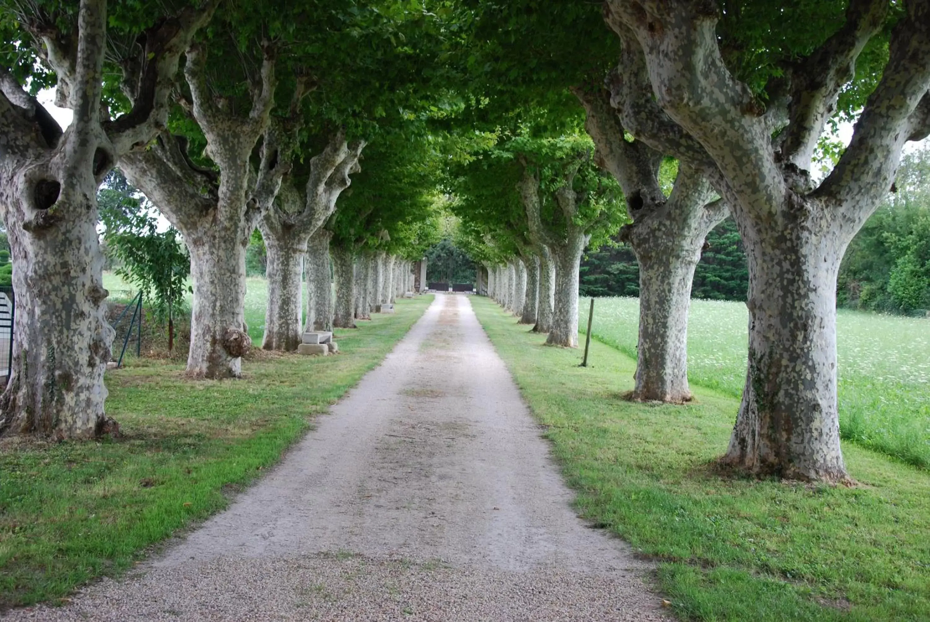 Facade/entrance, Garden in Le Mas Saint Jacques