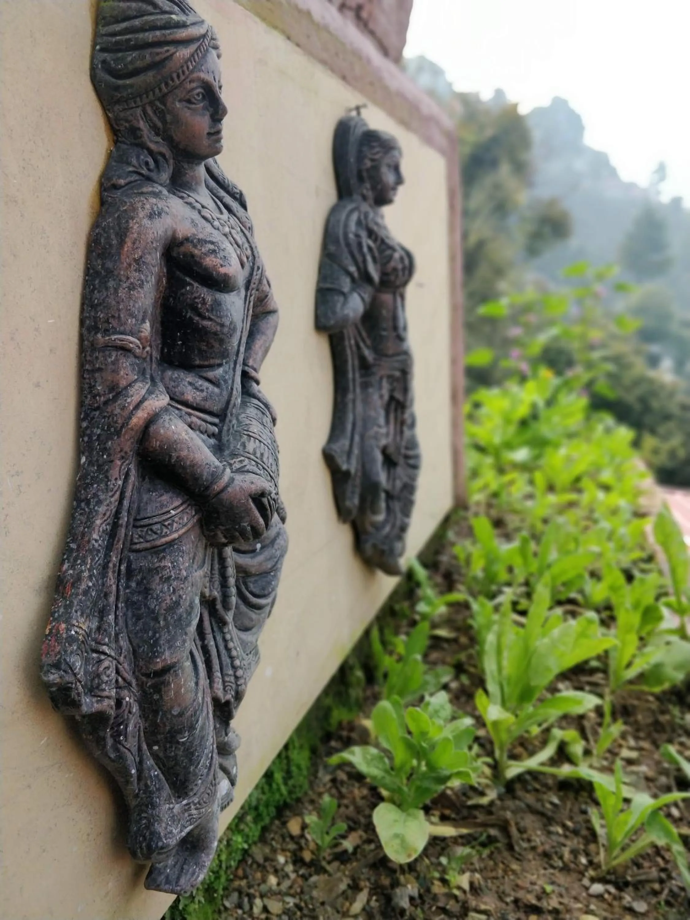 Animals in Hotel SunGrace