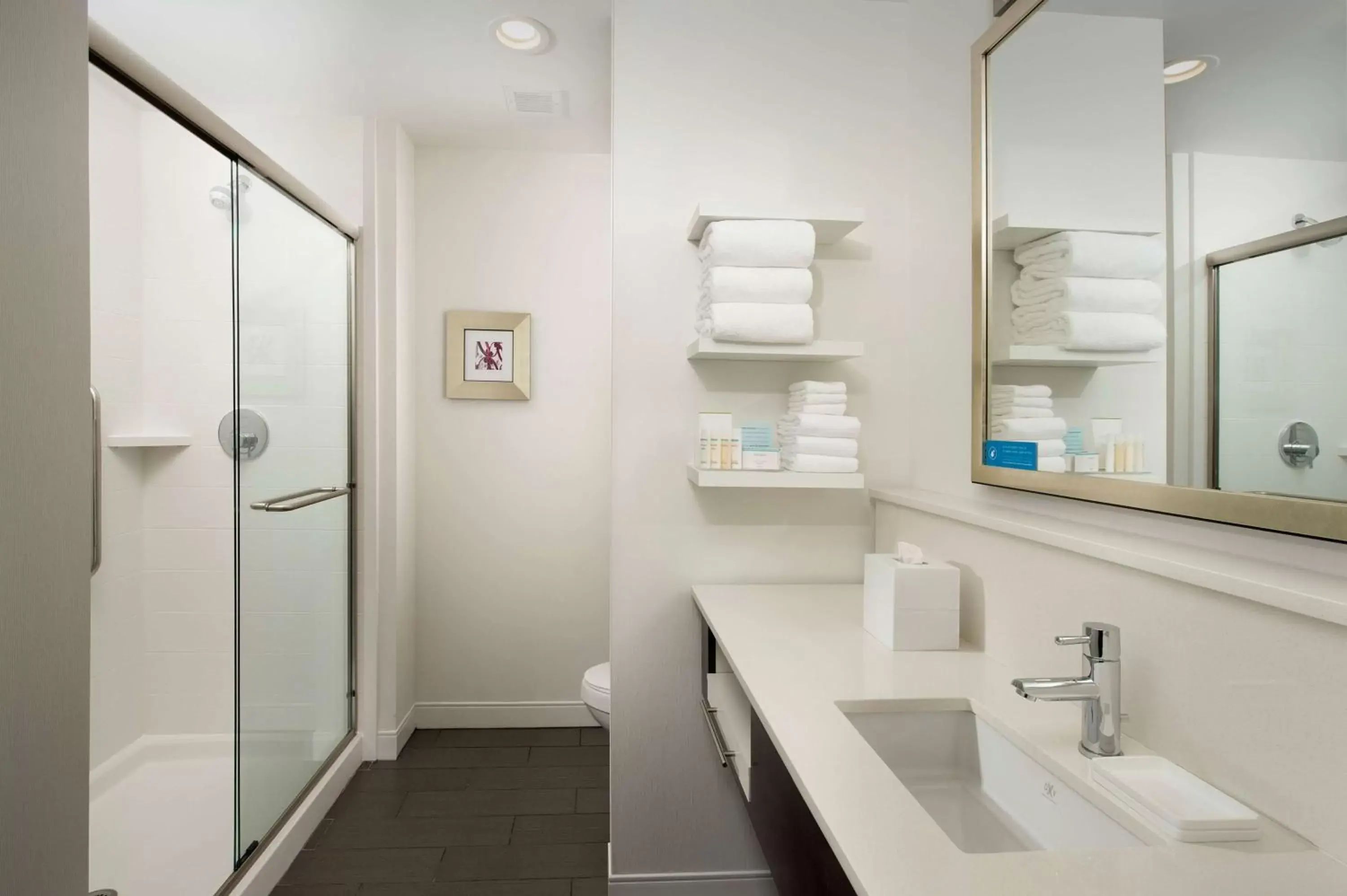 Bathroom in Hampton Inn by Hilton Hattiesburg
