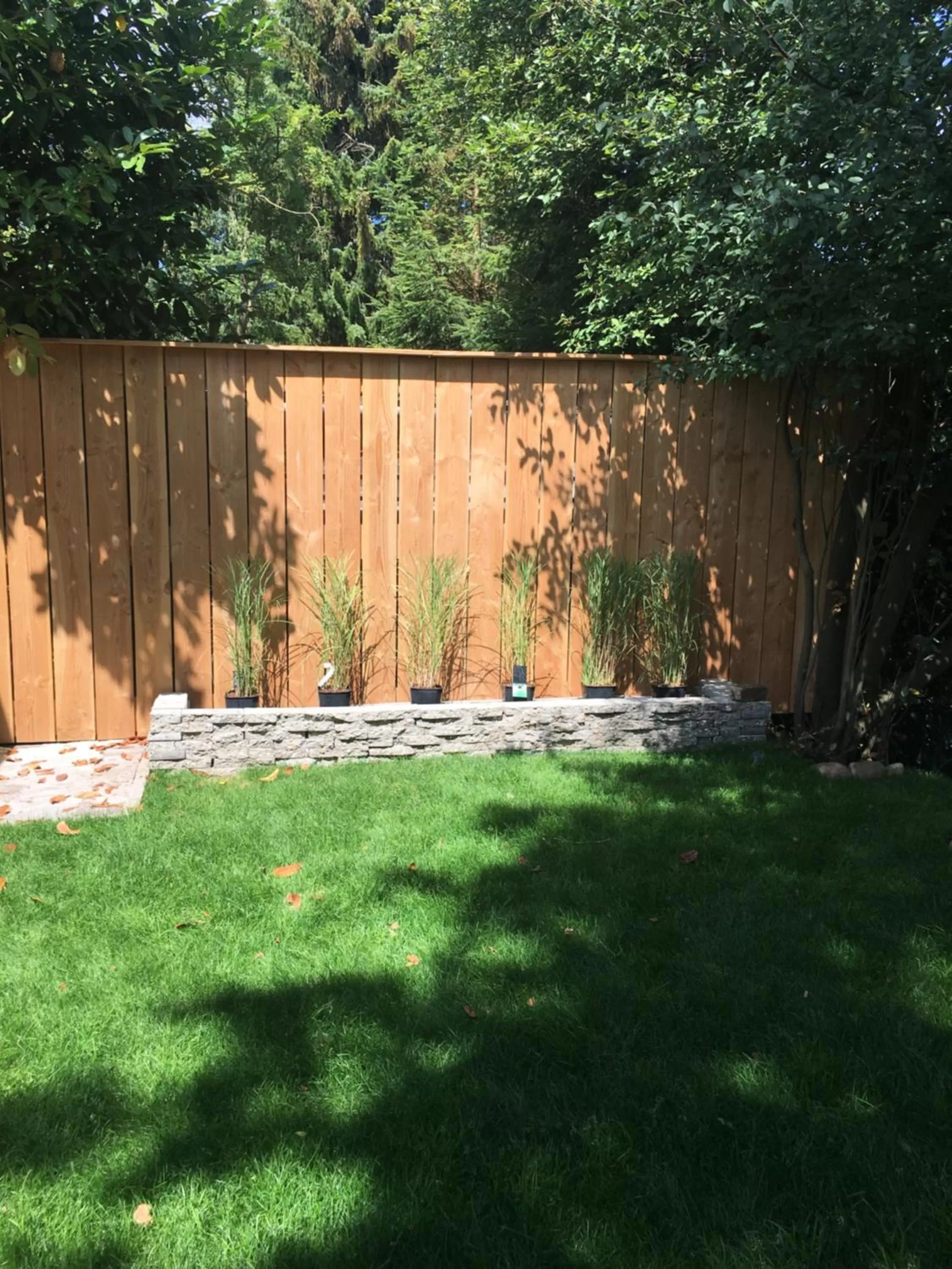 Garden in De Vijverkamer-----privé diner op de kamer mogelijk!!