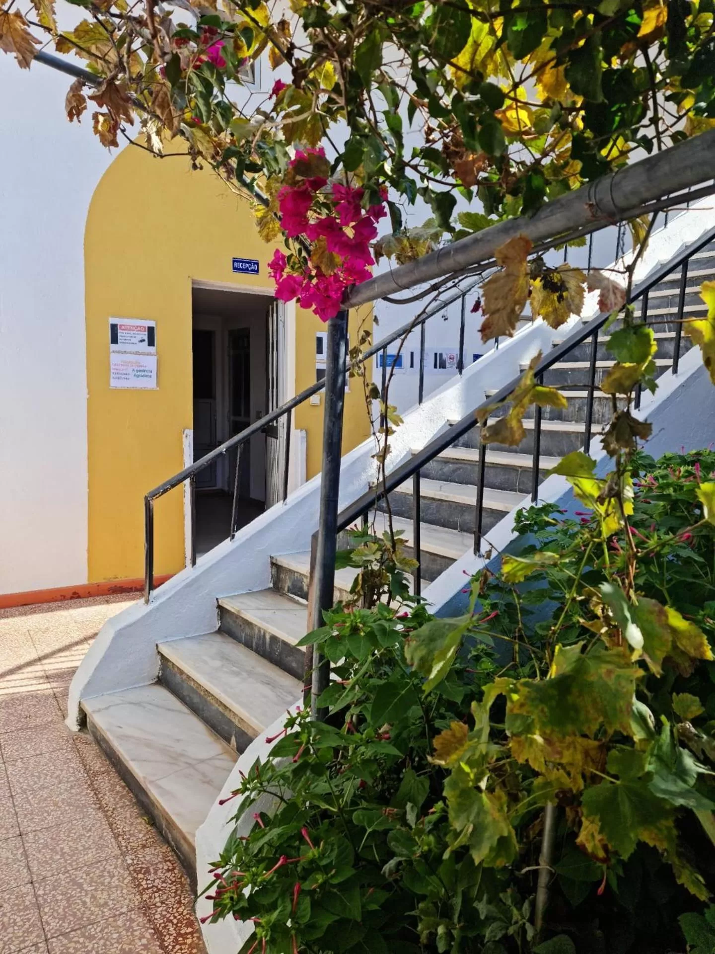 Alojamento Local Largo da Igreja